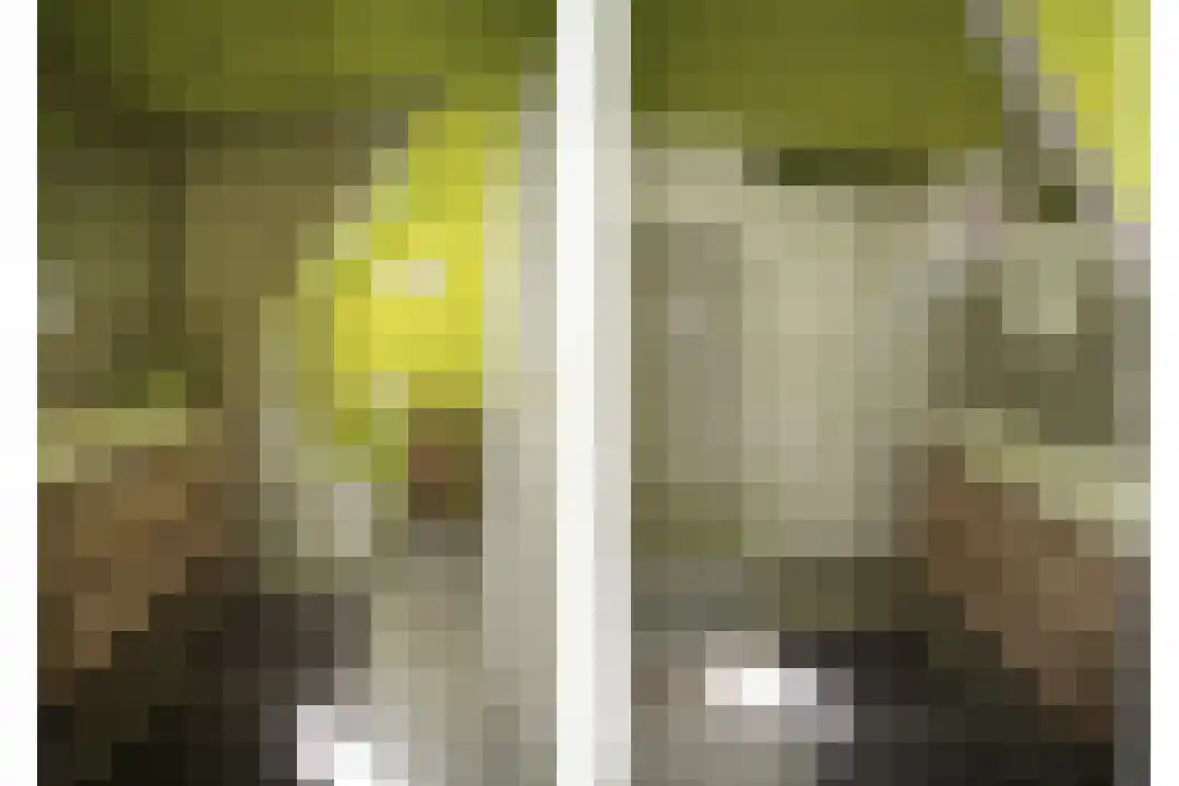 Cadzandseweg 10 Nieuwvliet thumbnail 26