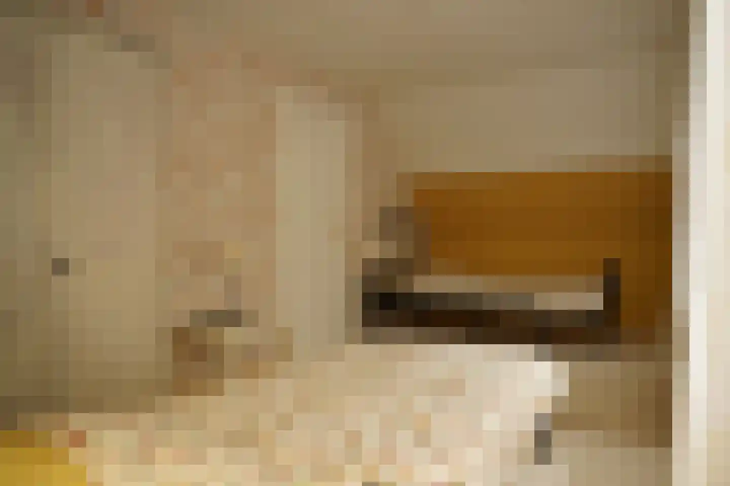 Cadzandseweg 10 Nieuwvliet thumbnail 28
