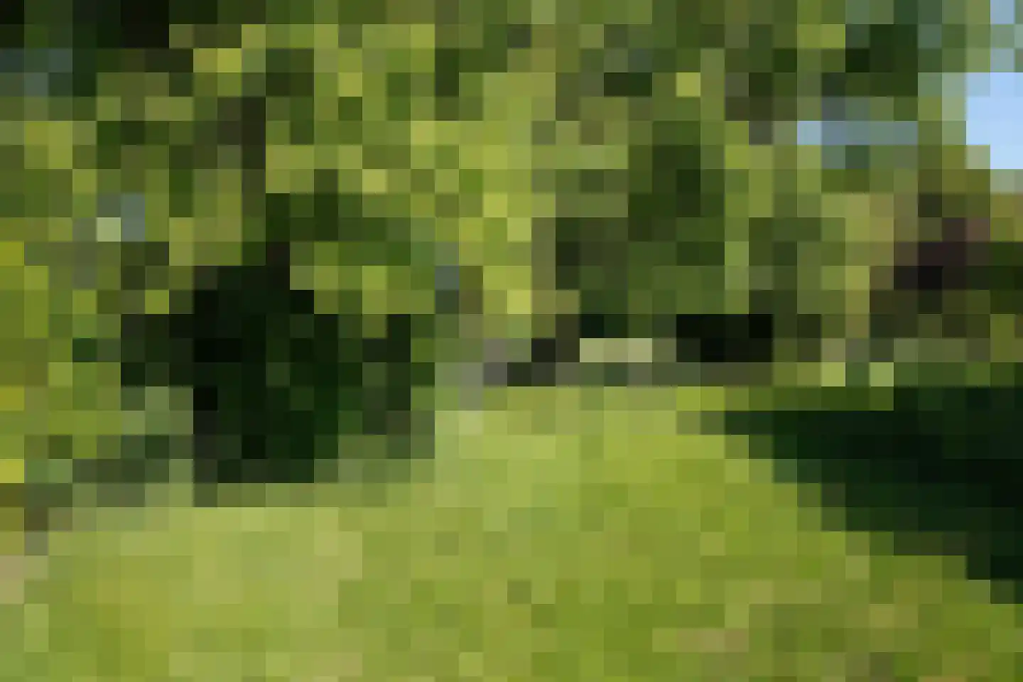 Cadzandseweg 10 Nieuwvliet thumbnail 34