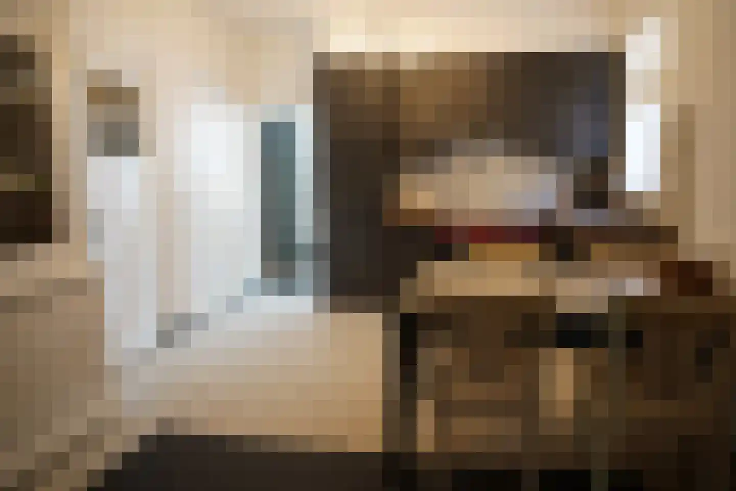 Cadzandseweg 10 Nieuwvliet thumbnail 7
