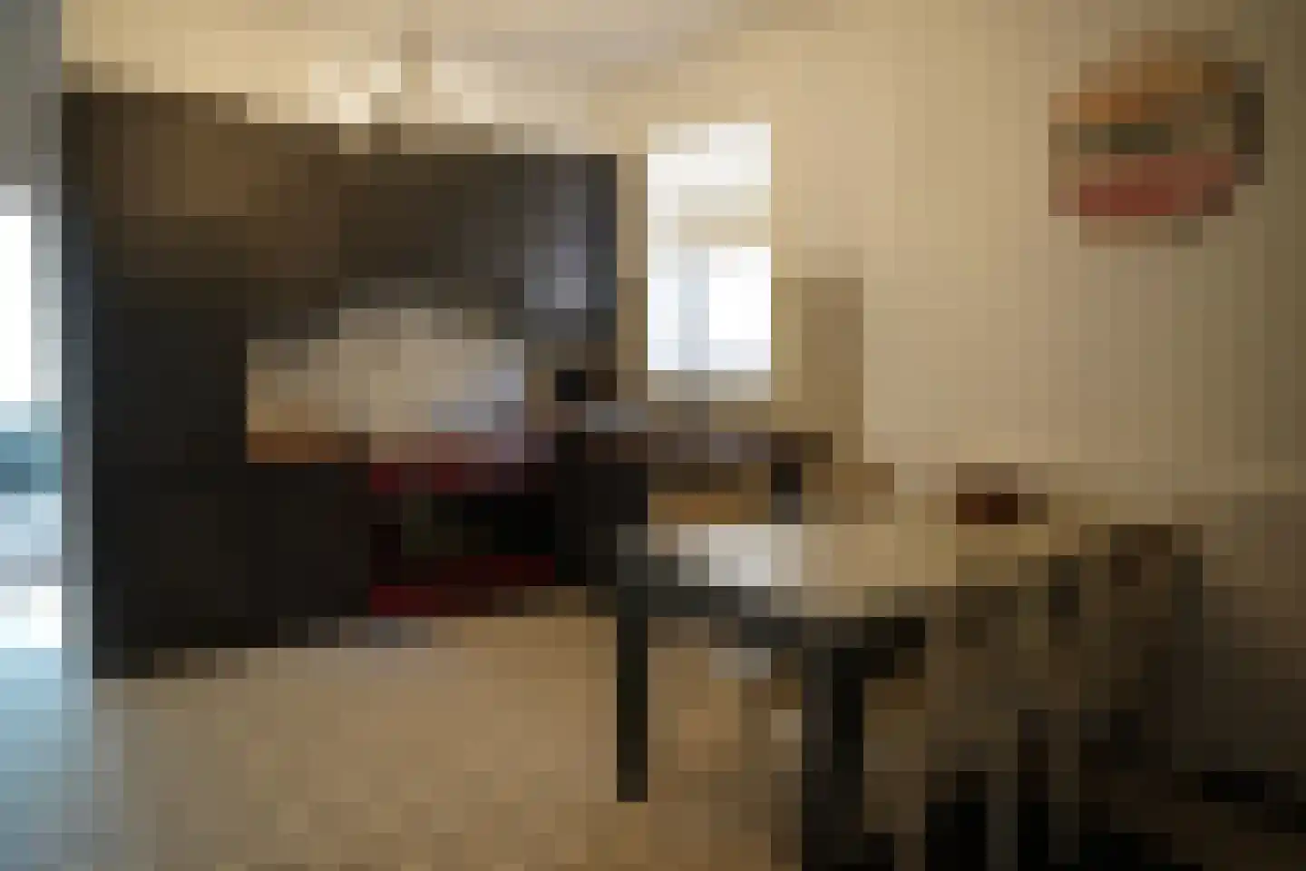 Cadzandseweg 10 Nieuwvliet thumbnail 8