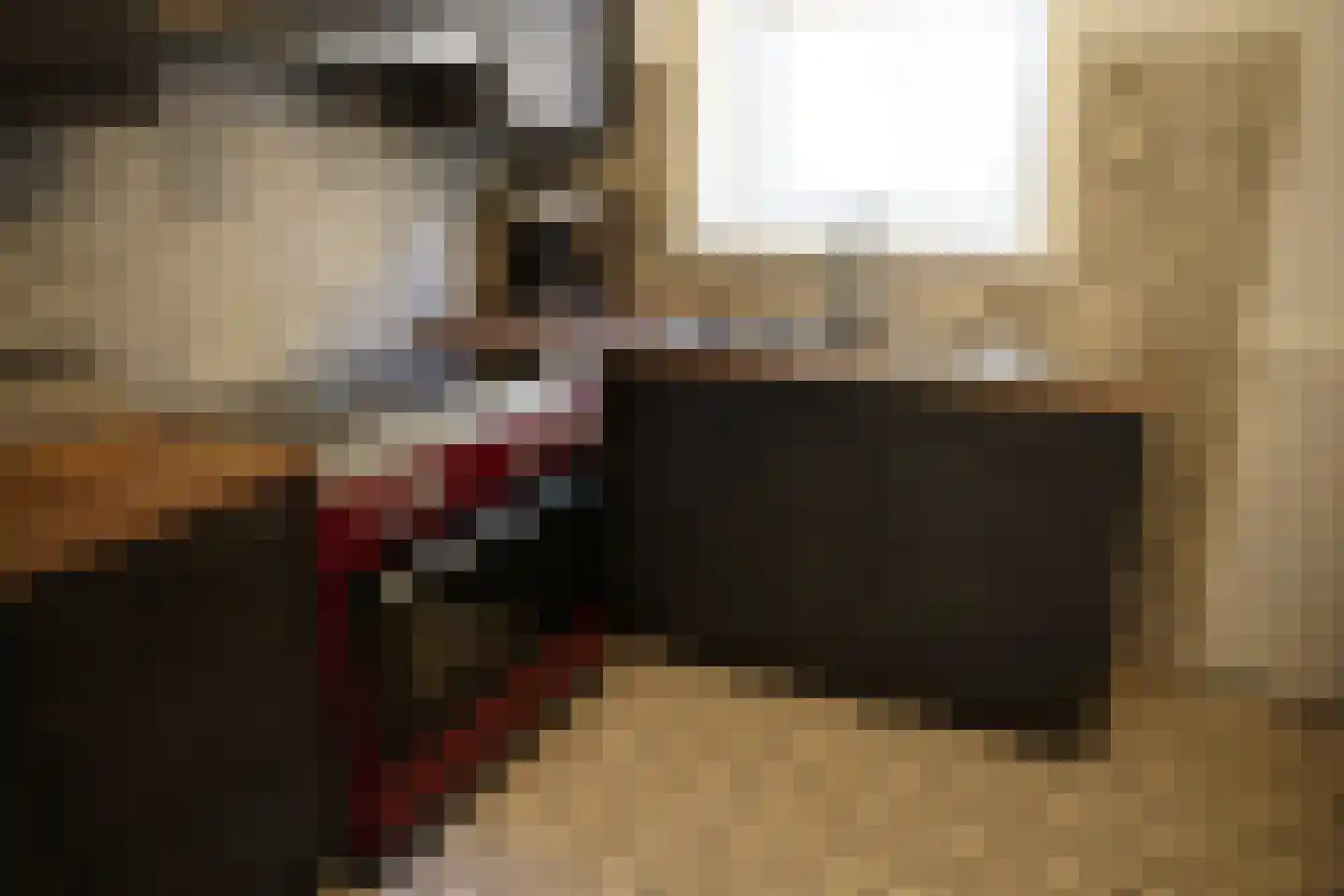 Cadzandseweg 10 Nieuwvliet thumbnail 9