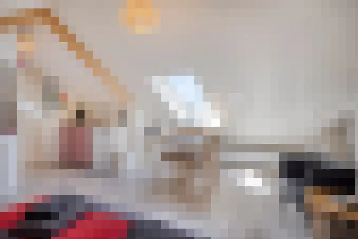 Cadzandseweg 16 A Nieuwvliet thumbnail 19