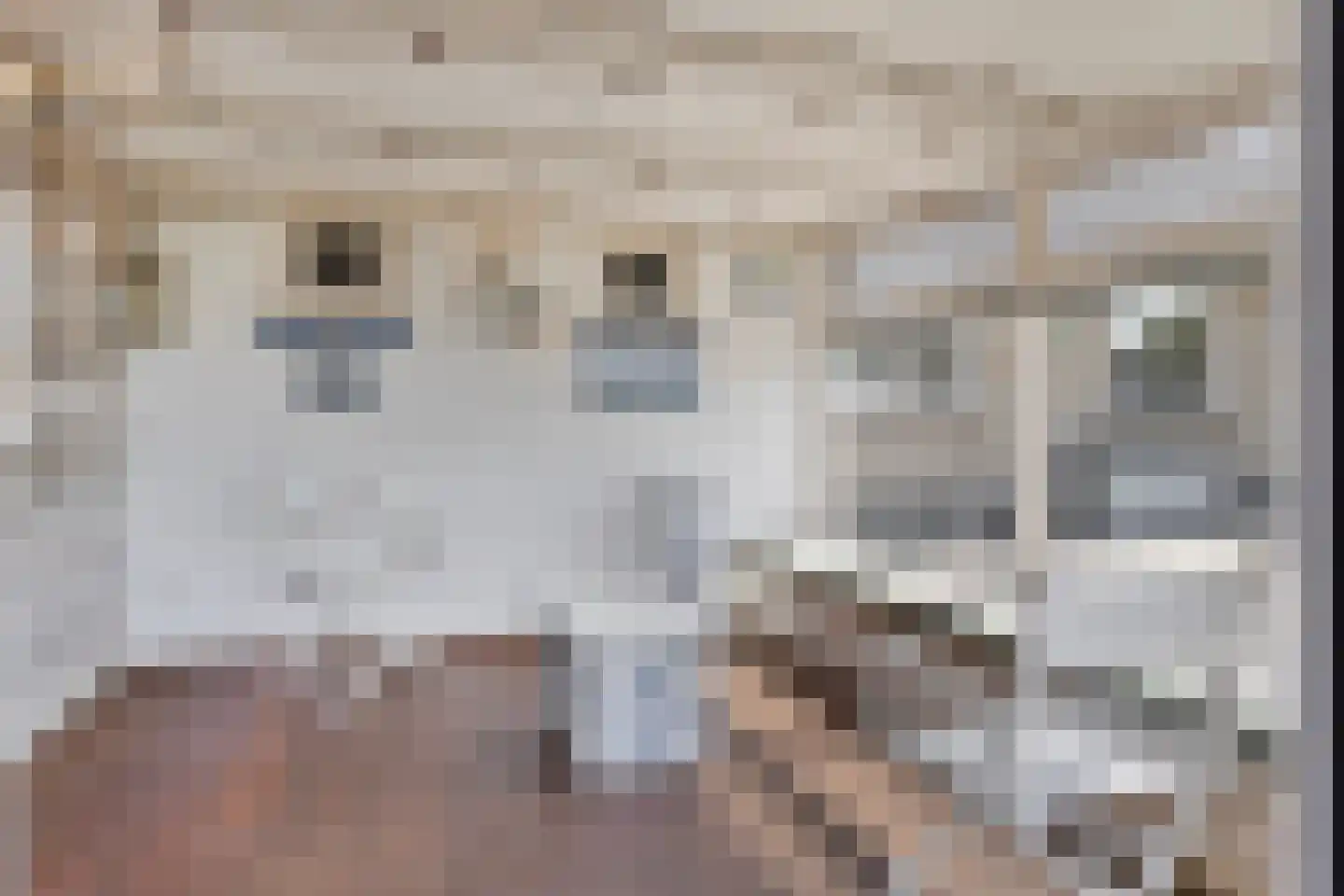 Cadzandseweg 16 A Nieuwvliet thumbnail 30