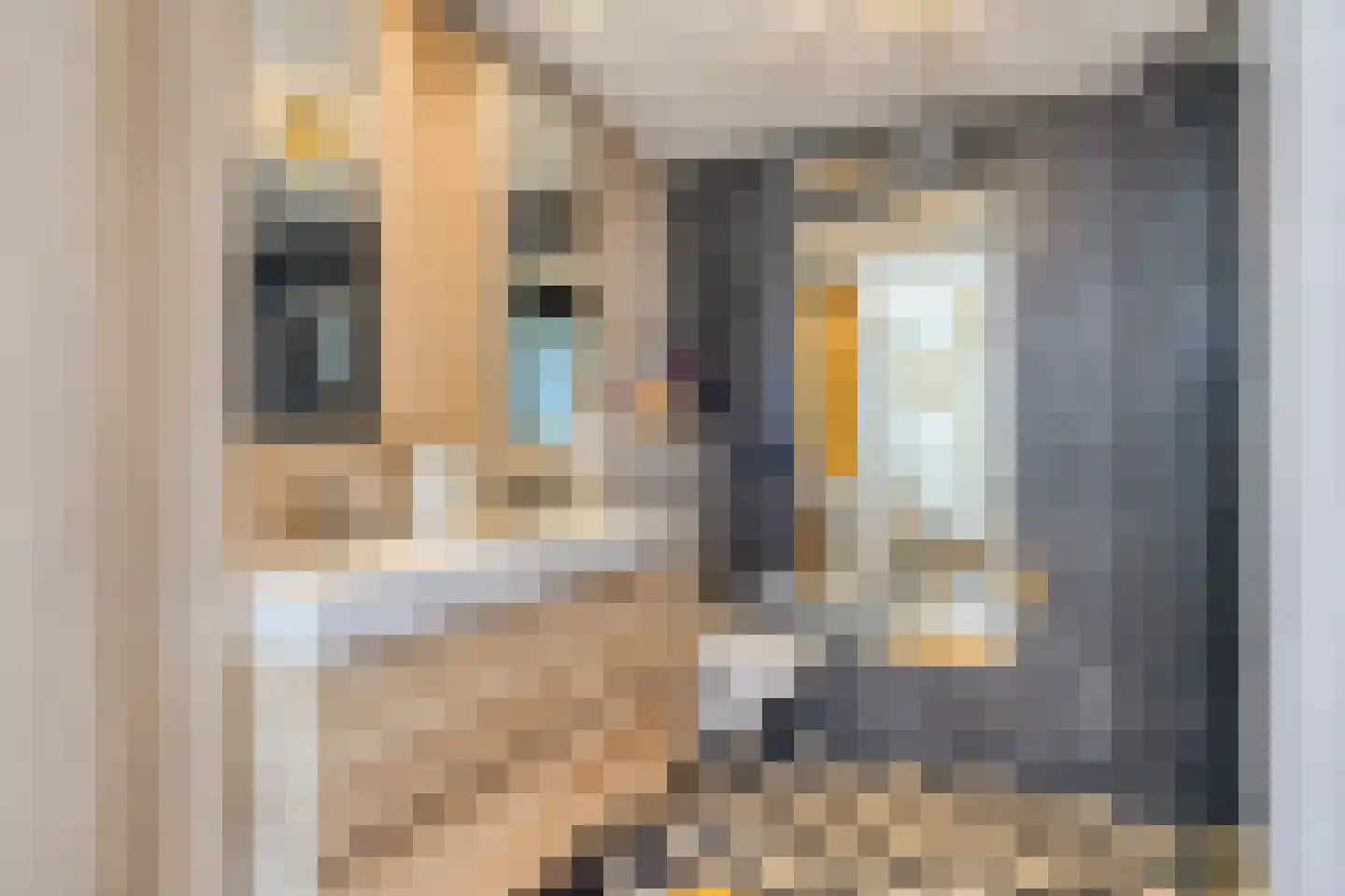 Cadzandseweg 30 Nieuwvliet thumbnail 13