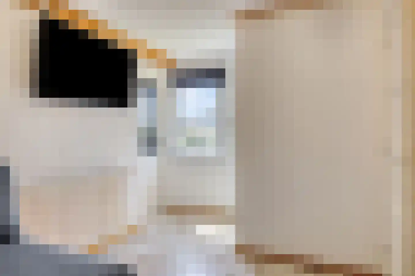 Cadzandseweg 30 Nieuwvliet thumbnail 37