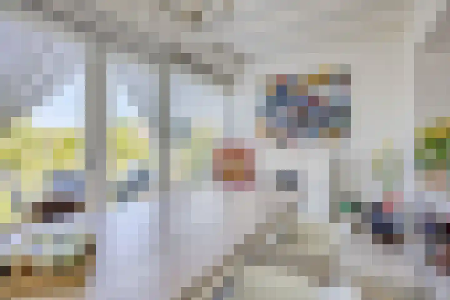 Cadzandseweg 30 Nieuwvliet thumbnail 8