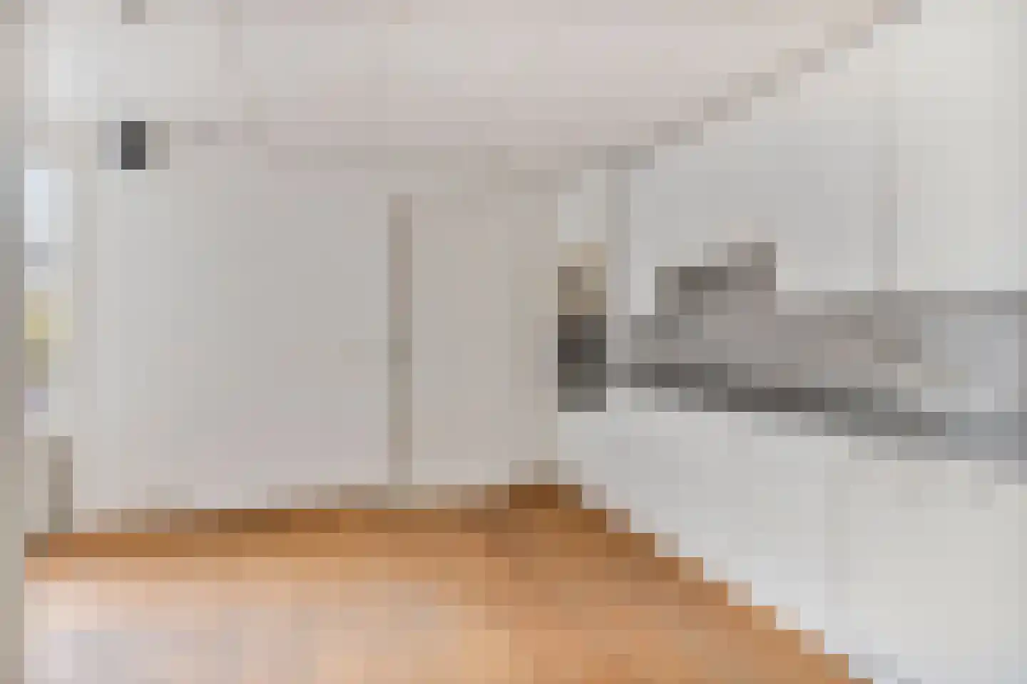 Cadzandseweg 4 Nieuwvliet thumbnail 17