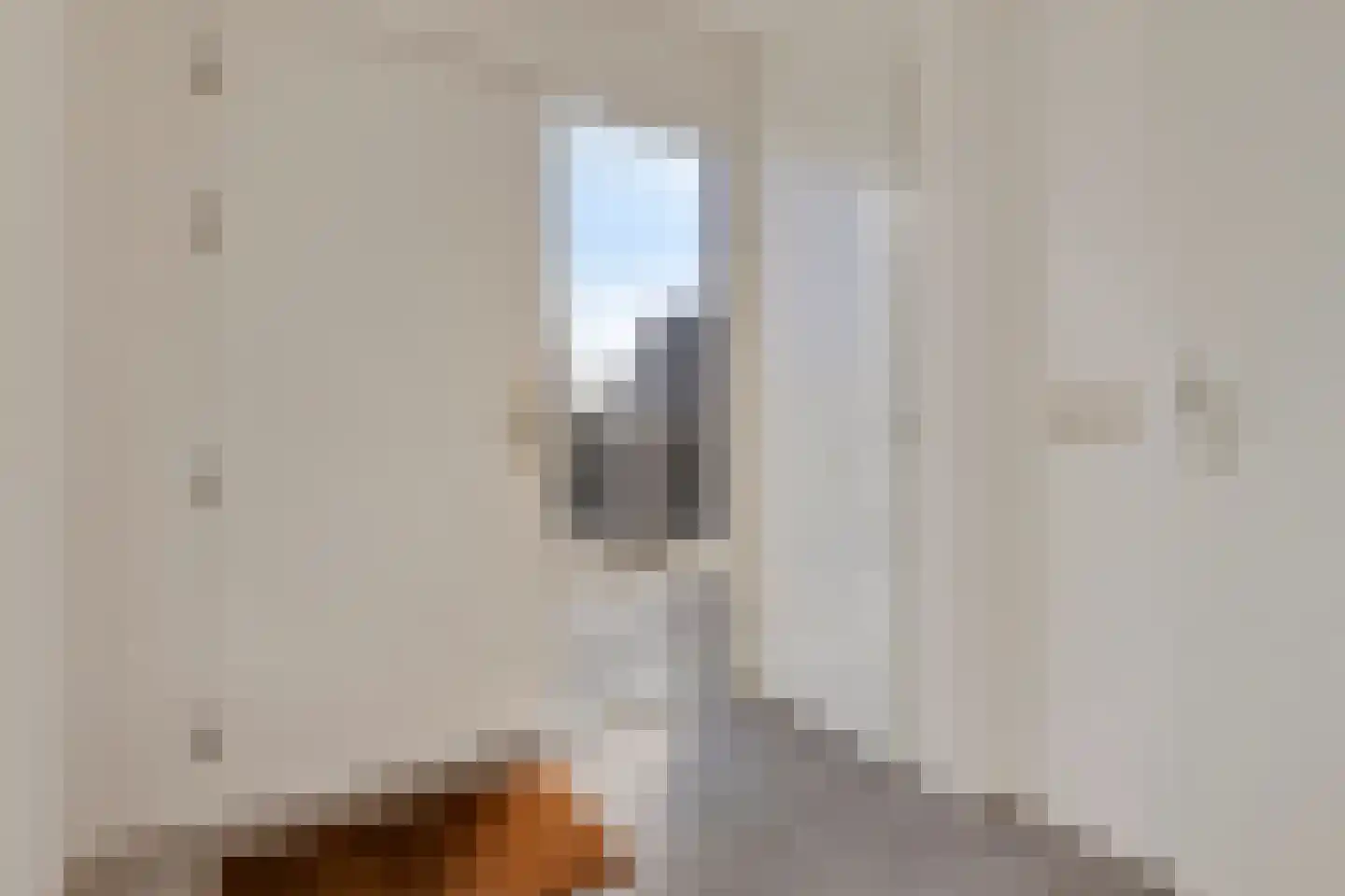 Cadzandseweg 4 Nieuwvliet thumbnail 20