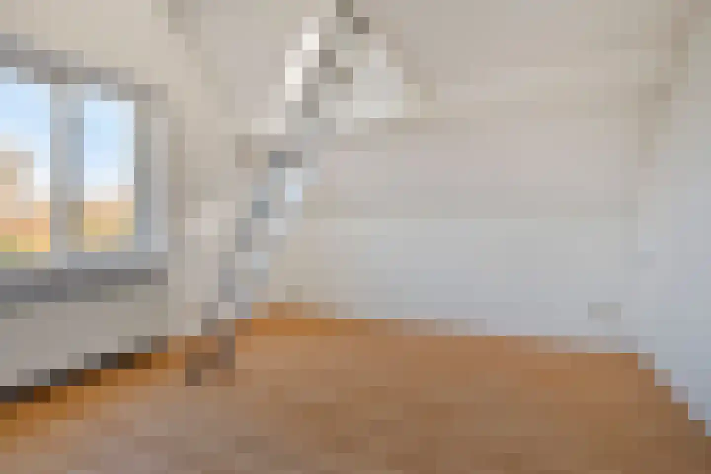 Cadzandseweg 4 Nieuwvliet thumbnail 28