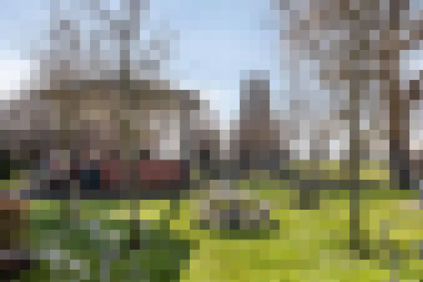 Cadzandseweg 4 Nieuwvliet thumbnail 41