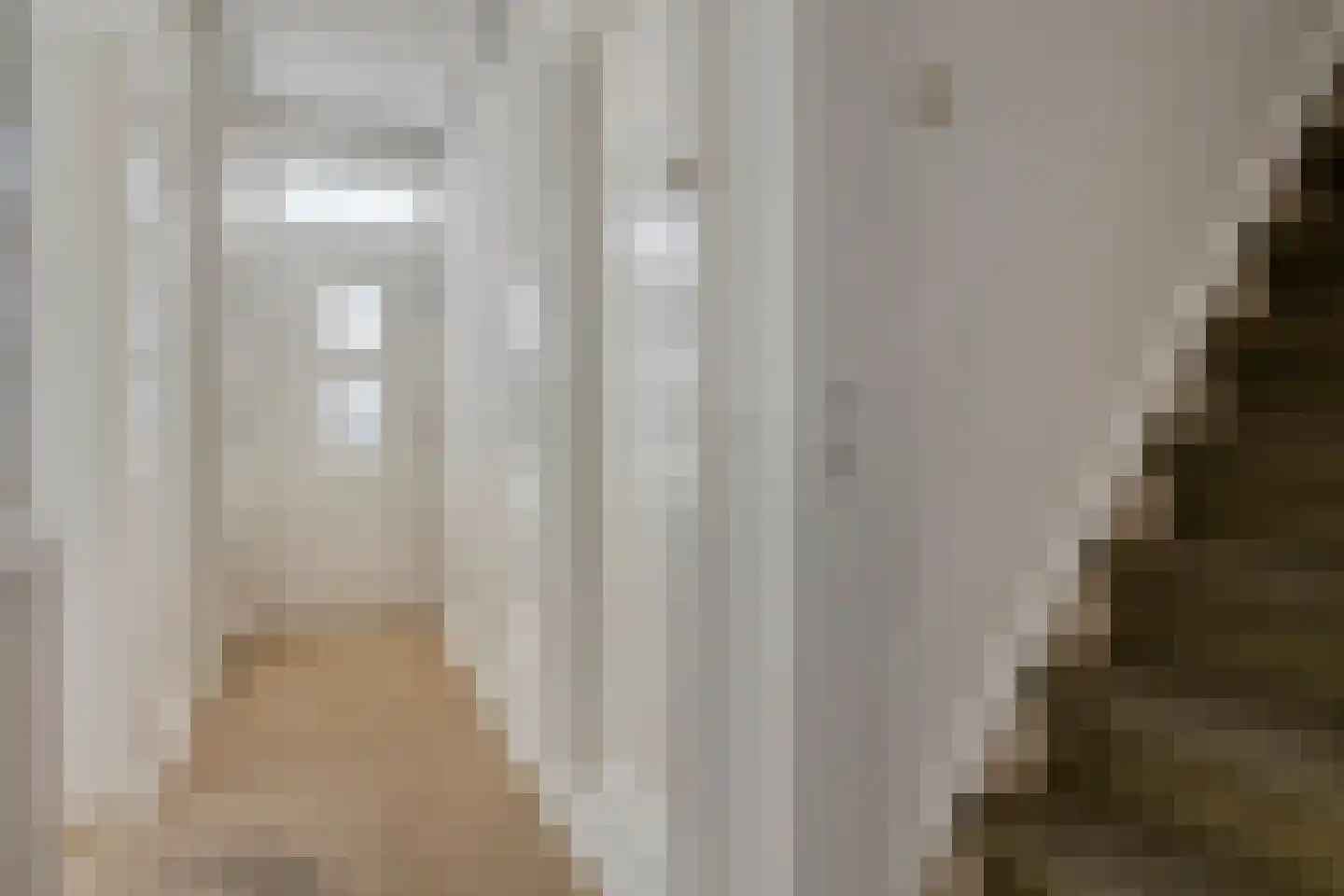 Cadzandseweg 4 Nieuwvliet thumbnail 5