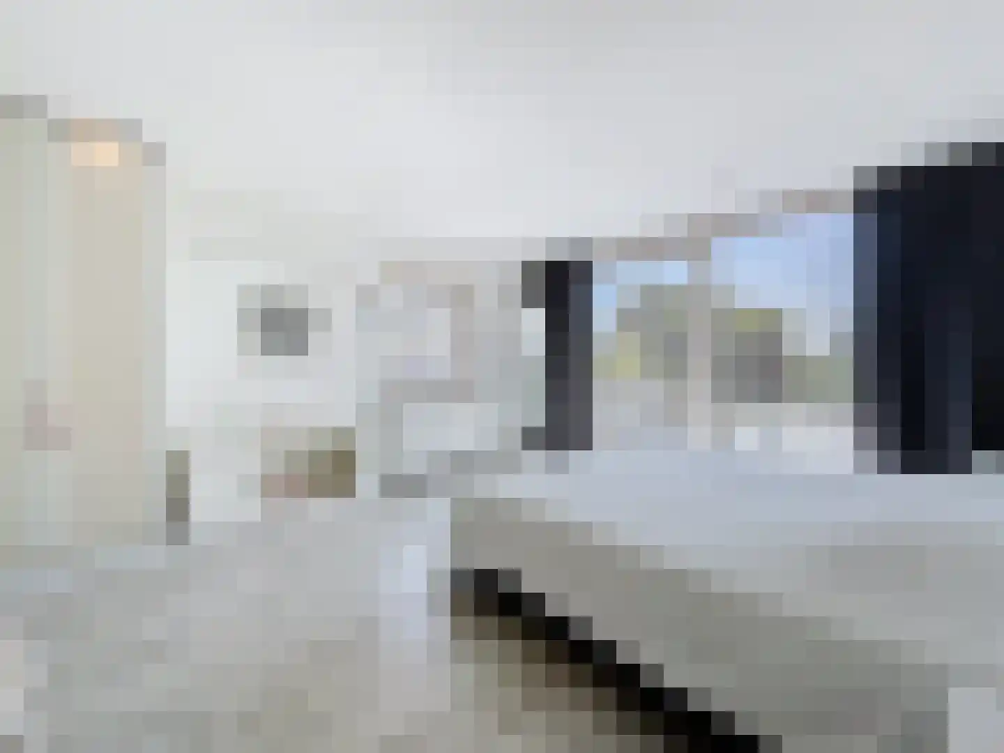 Cadzandseweg 43 Nieuwvliet thumbnail 11