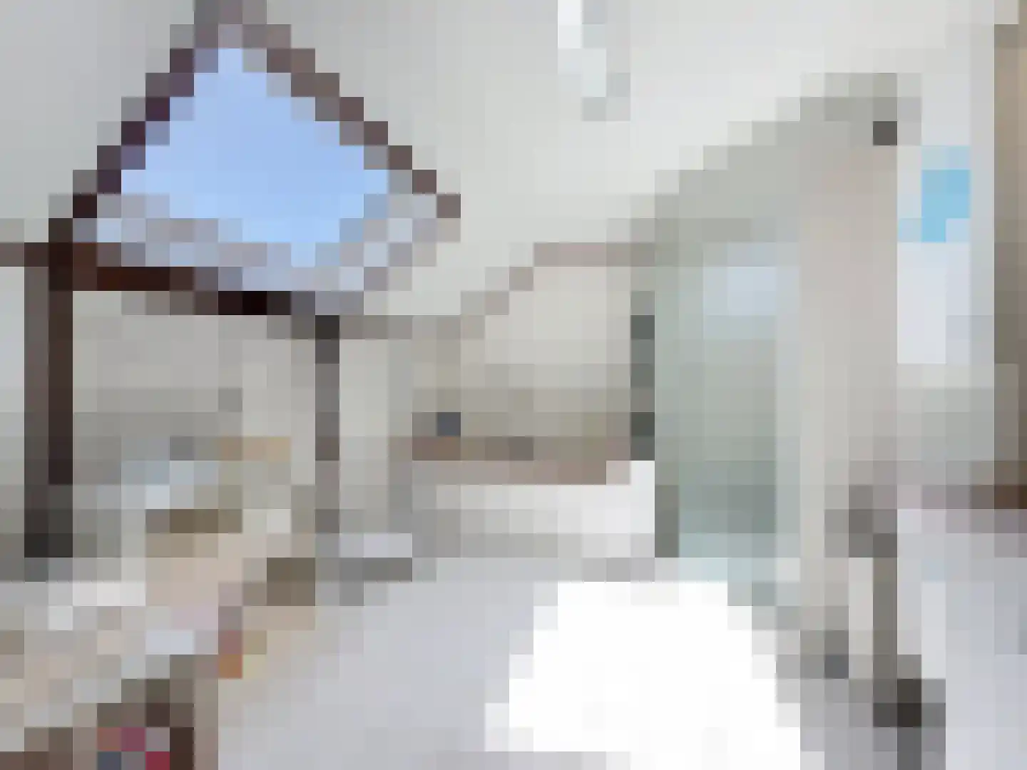 Cadzandseweg 43 Nieuwvliet thumbnail 16