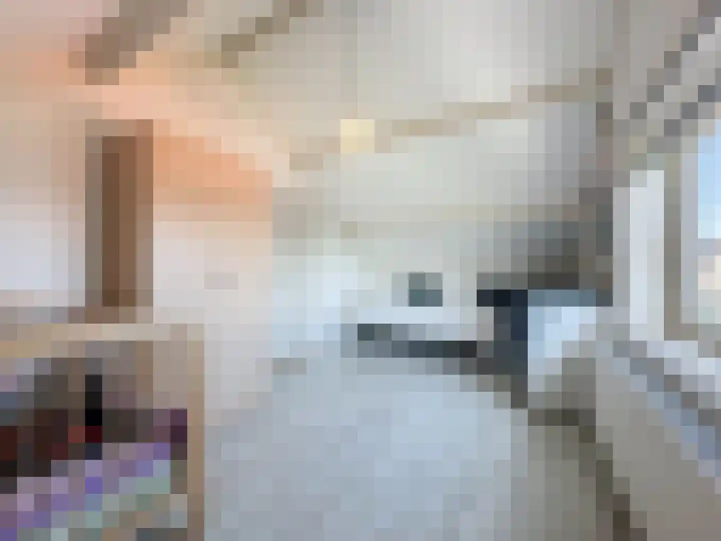 Cadzandseweg 43 Nieuwvliet thumbnail 22
