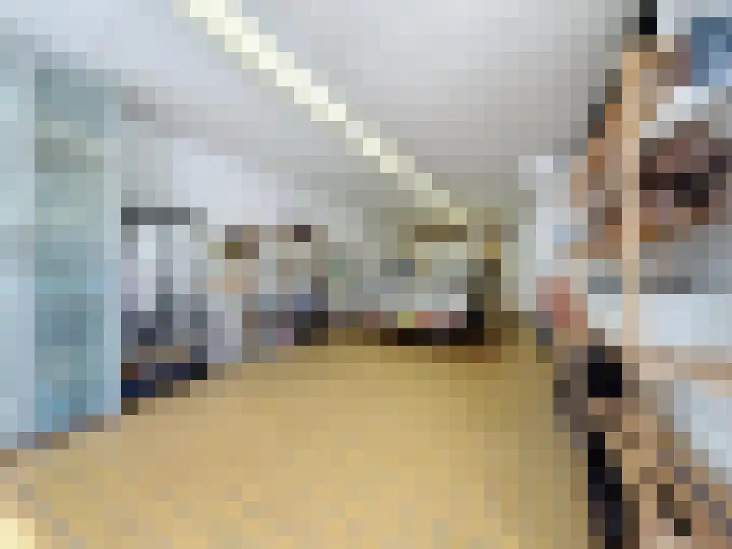 Cadzandseweg 43 Nieuwvliet thumbnail 23