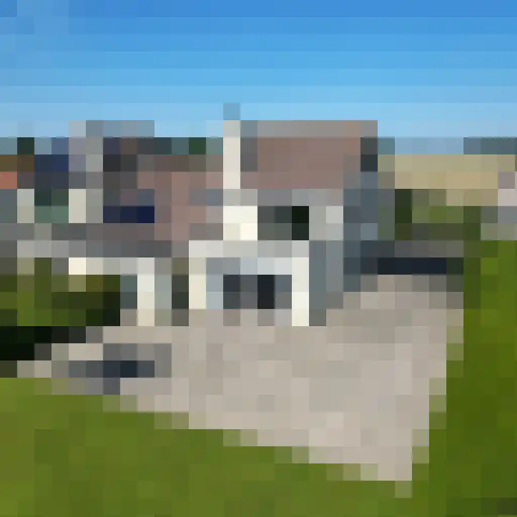 Cadzandseweg 43 Nieuwvliet thumbnail 25