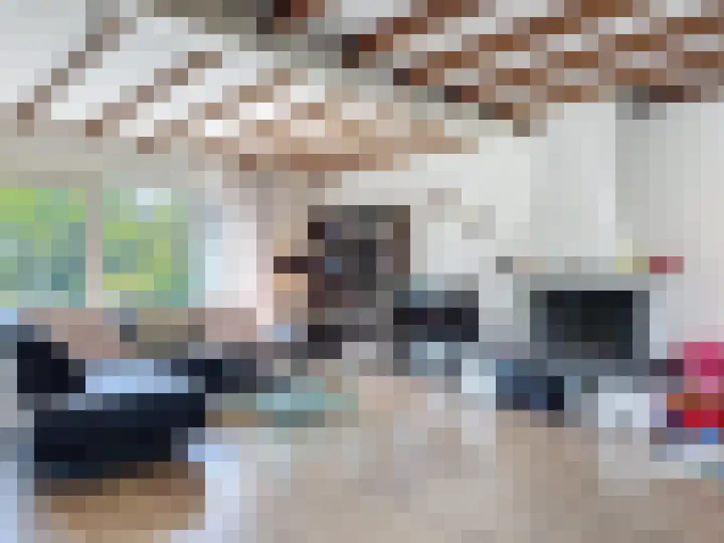 Cadzandseweg 43 Nieuwvliet thumbnail 4