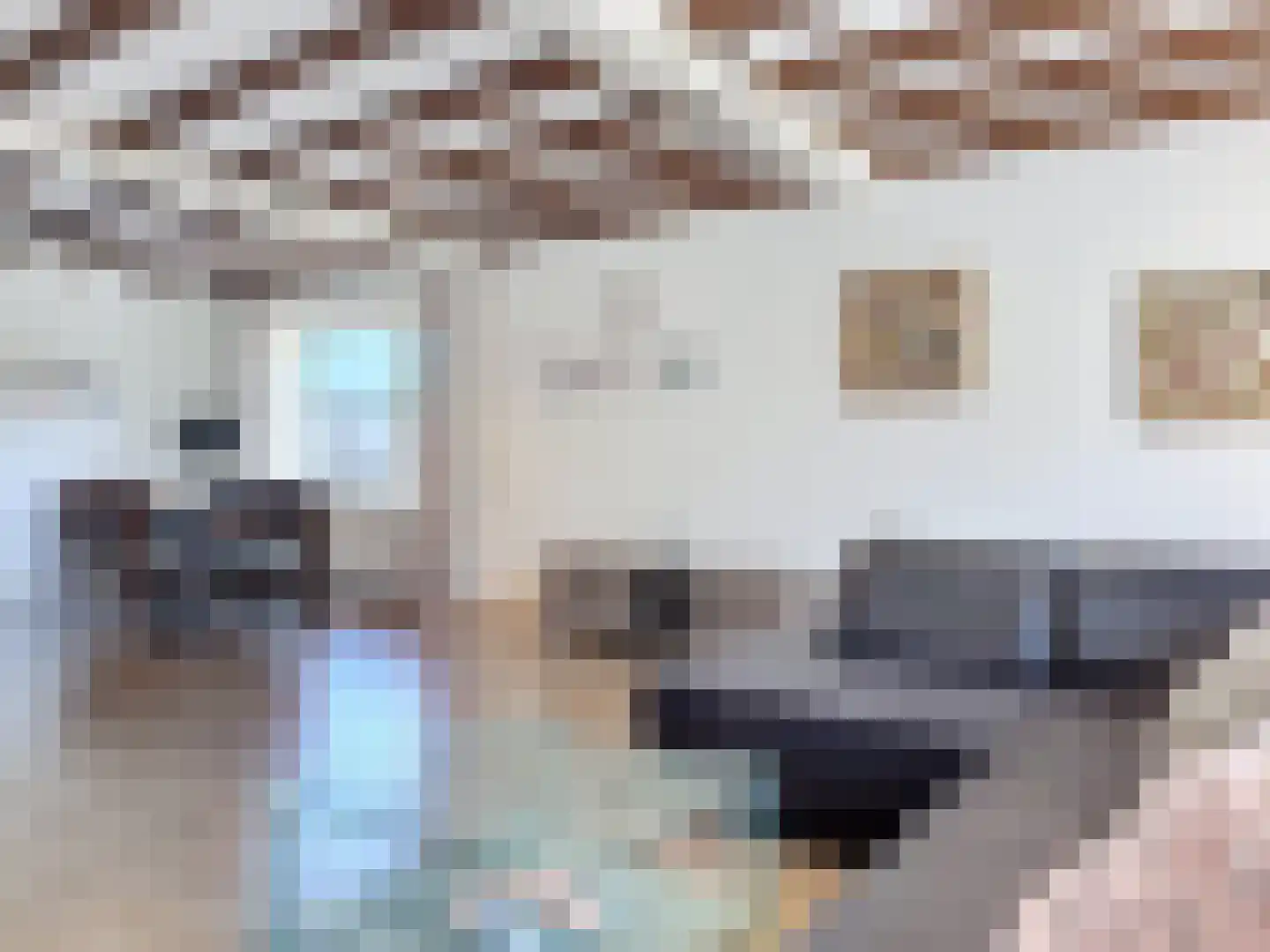 Cadzandseweg 43 Nieuwvliet thumbnail 5