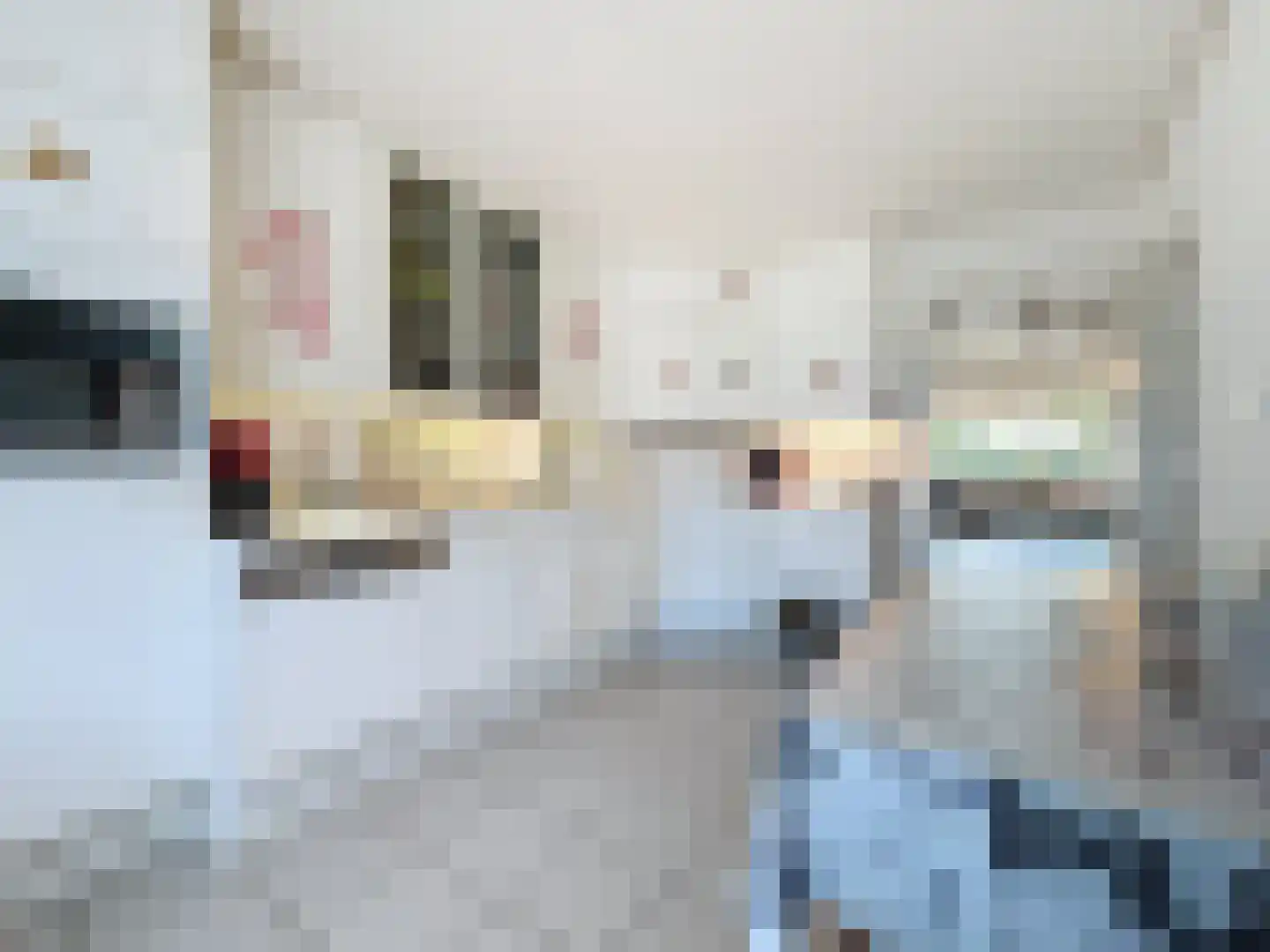 Cadzandseweg 43 Nieuwvliet thumbnail 6