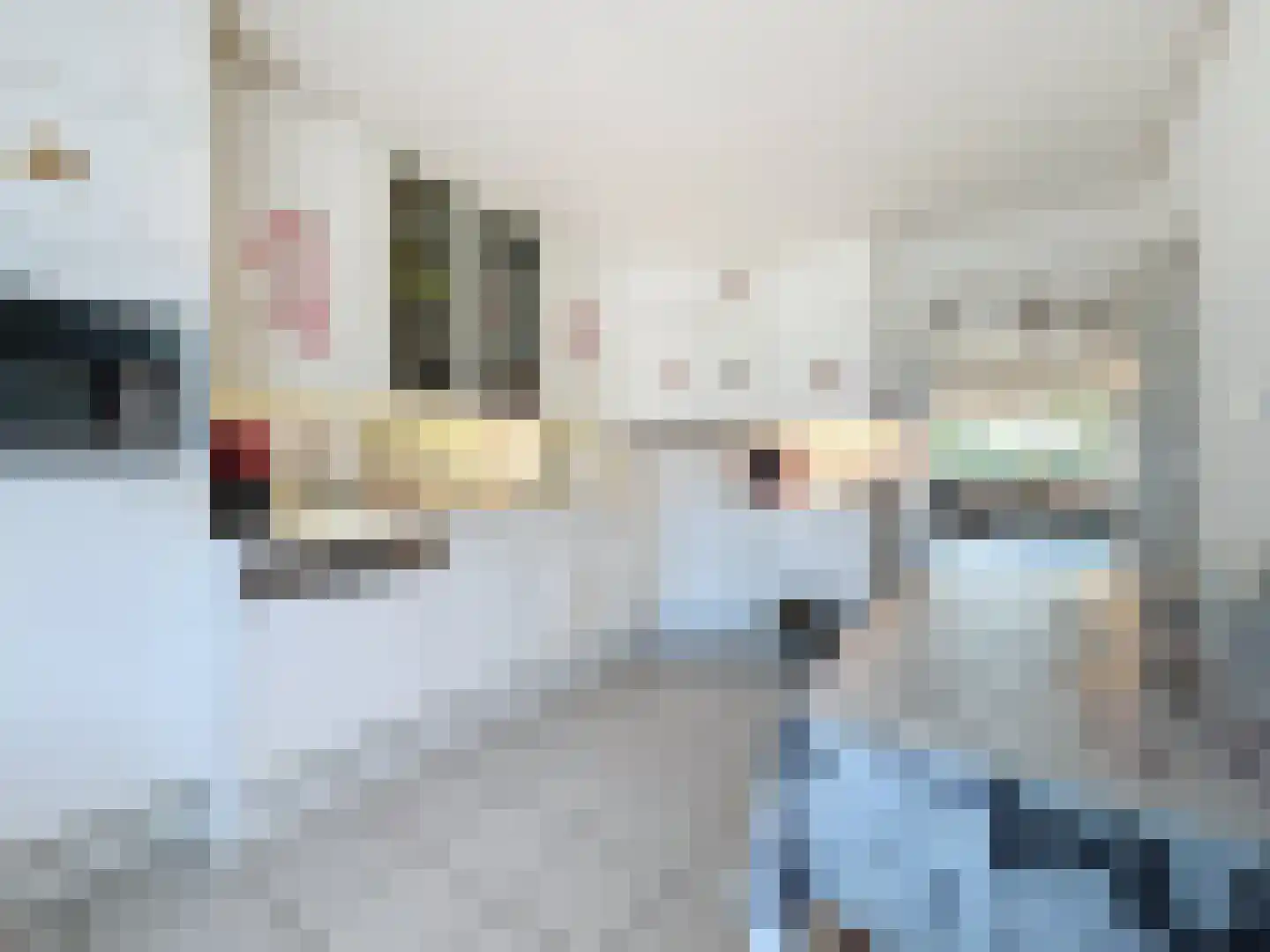 Cadzandseweg 43 Nieuwvliet thumbnail 6