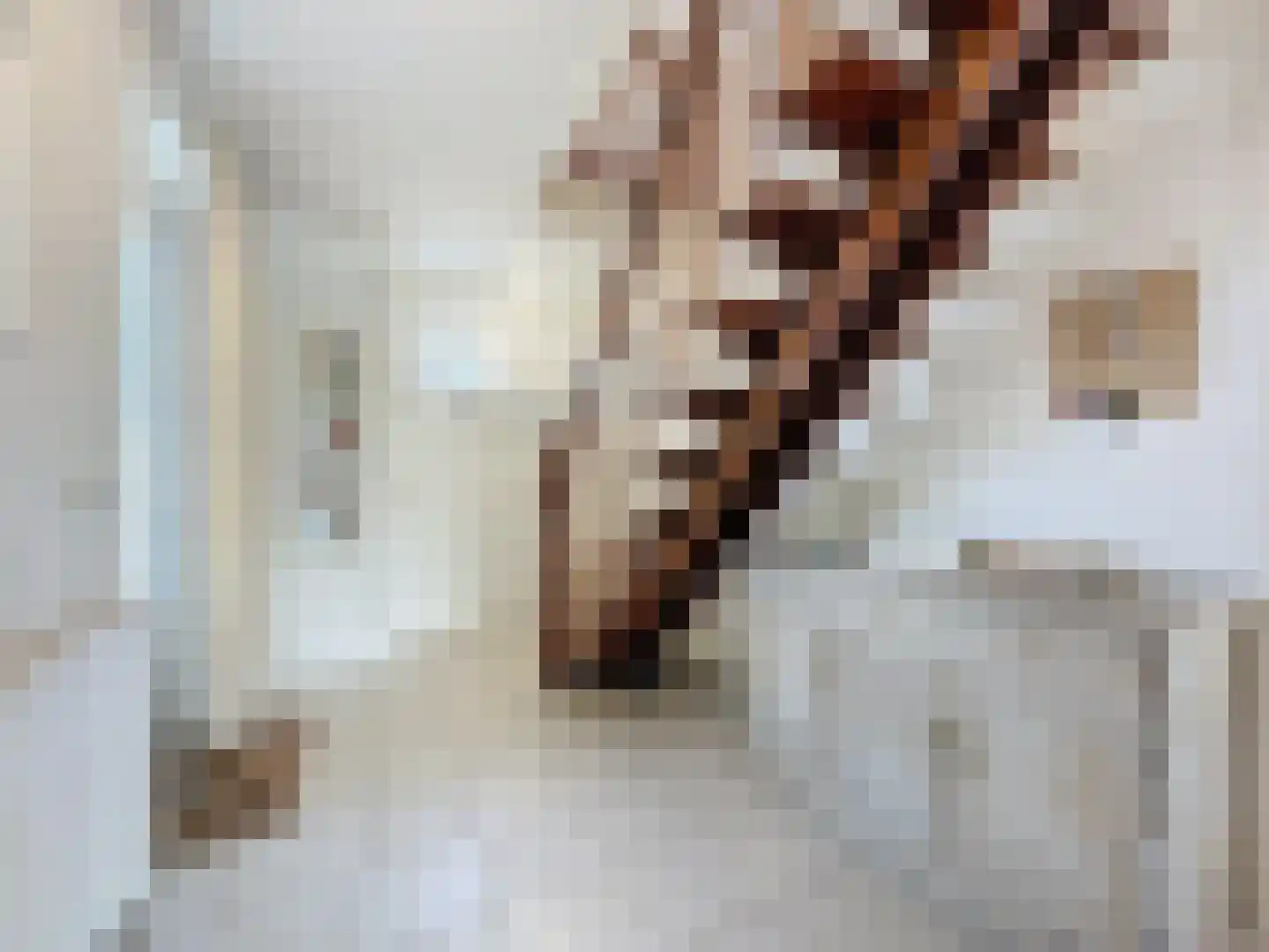 Cadzandseweg 43 Nieuwvliet thumbnail 8