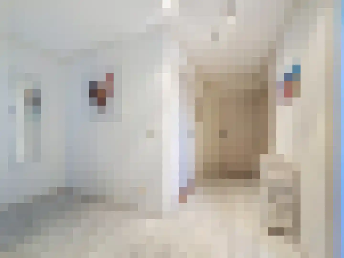 Cadzandseweg 43 Nieuwvliet thumbnail 9