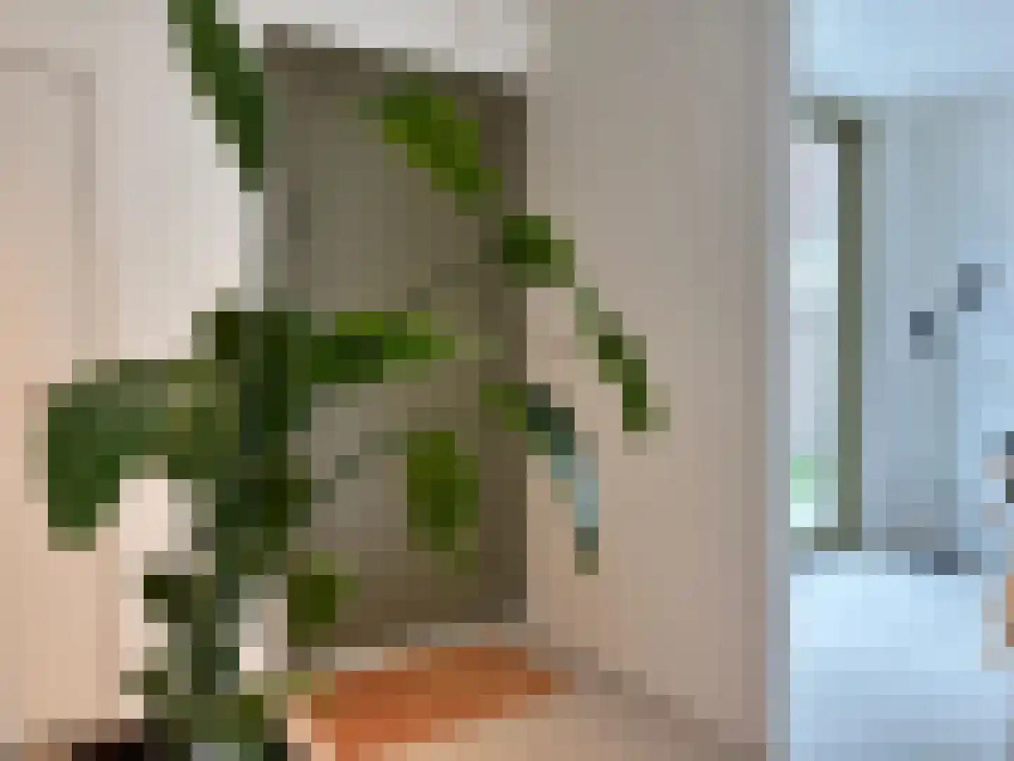 Cadzandseweg 53 Nieuwvliet thumbnail 18