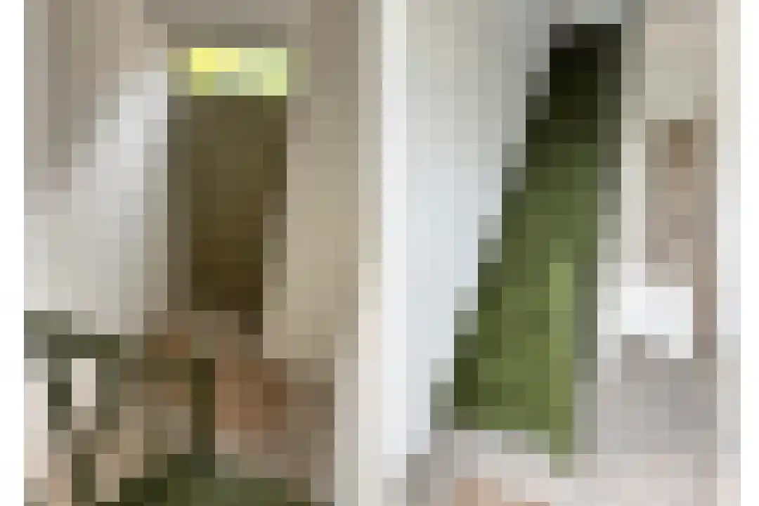 Cadzandseweg 53 Nieuwvliet thumbnail 22