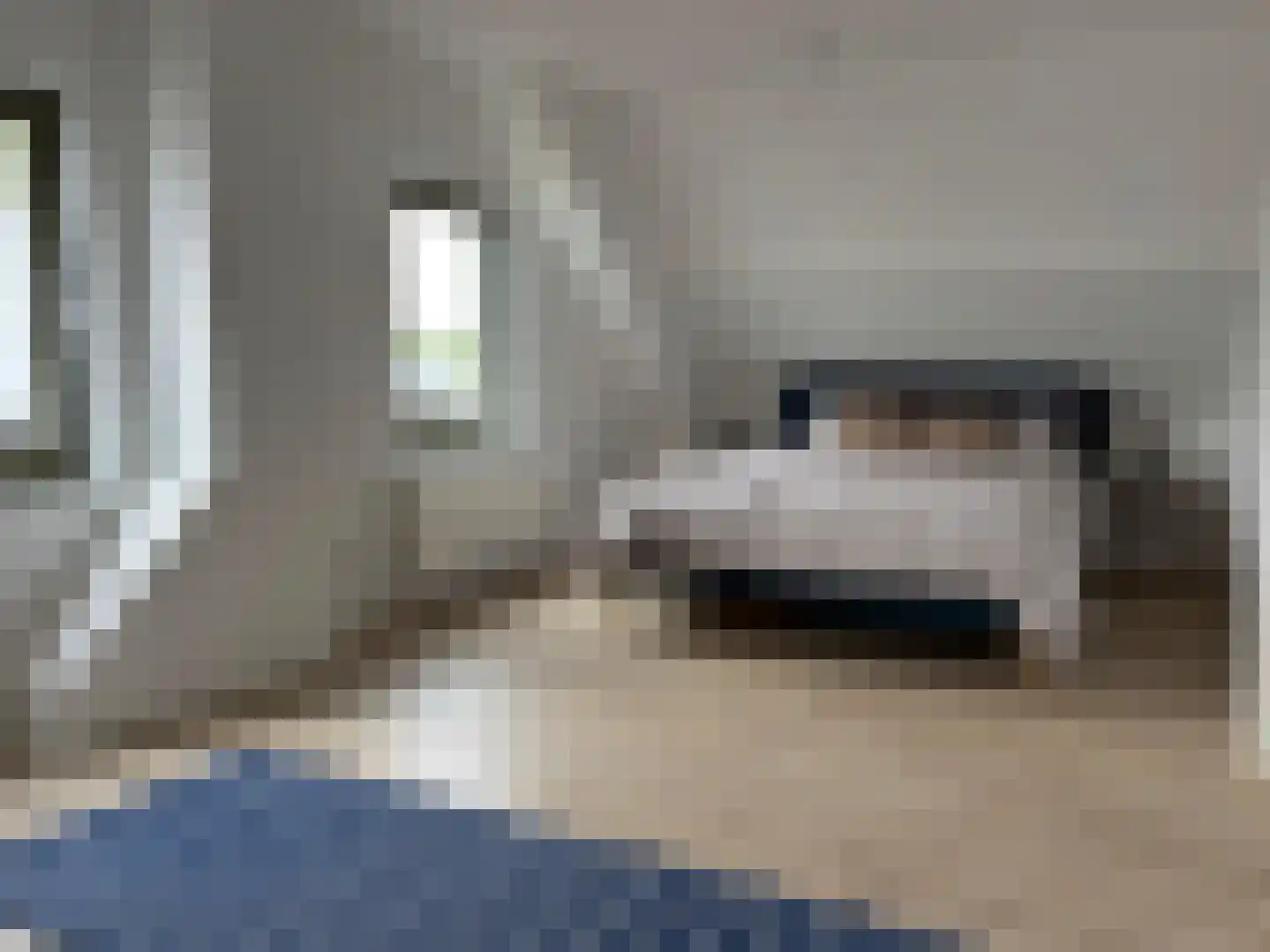 Cadzandseweg 53 Nieuwvliet thumbnail 25