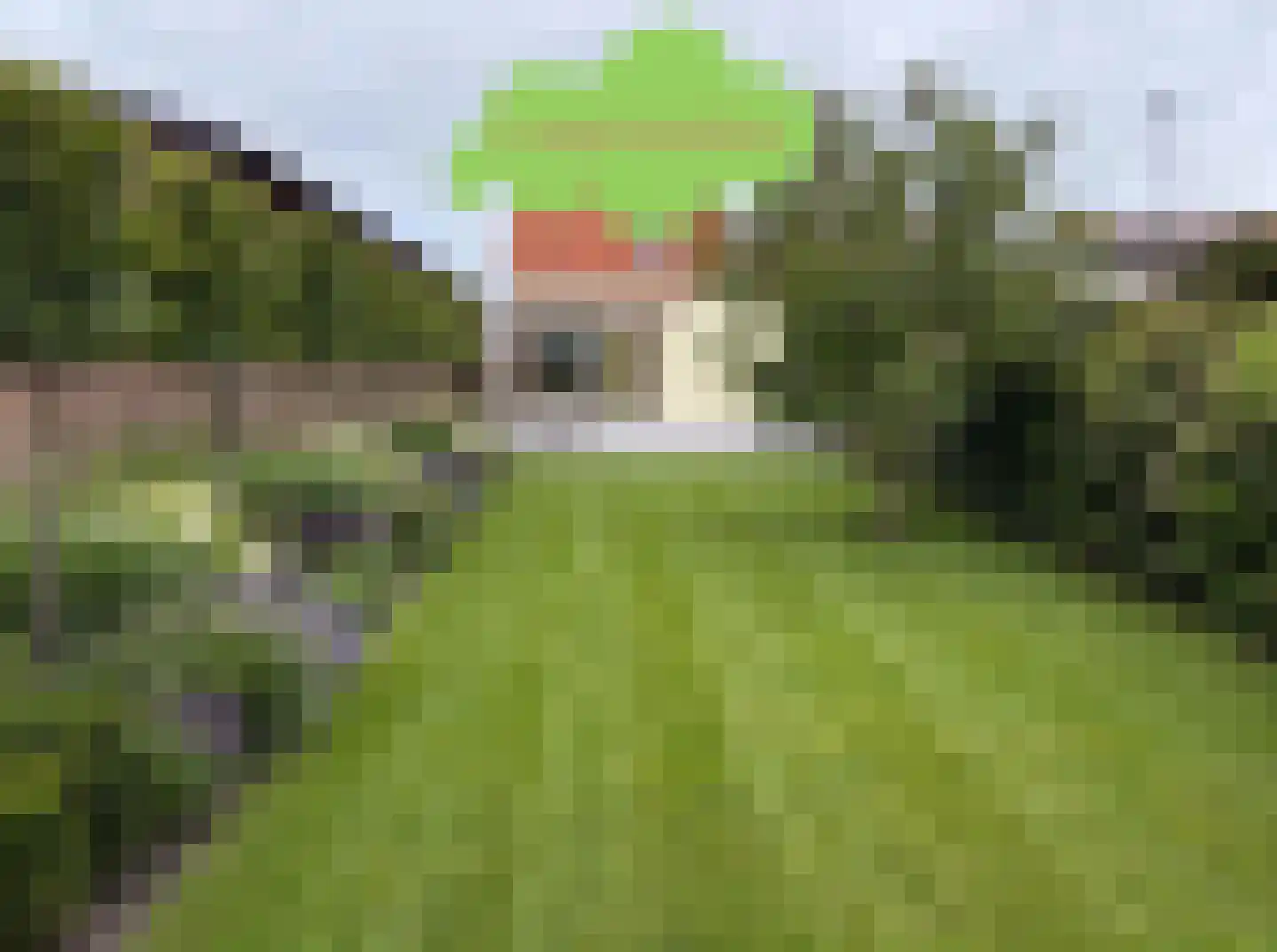 Cadzandseweg 53 Nieuwvliet thumbnail 38