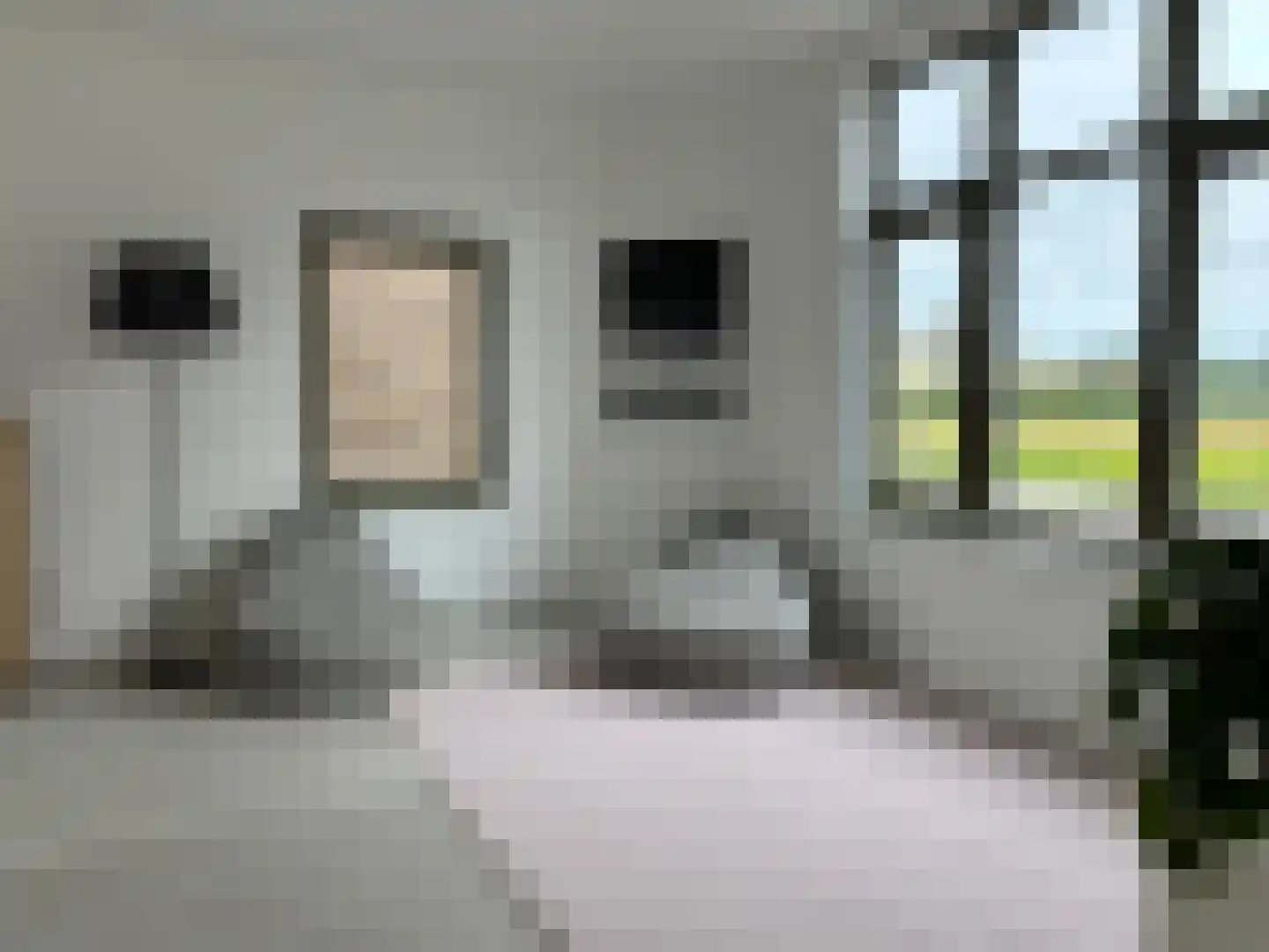 Cadzandseweg 53 Nieuwvliet thumbnail 5