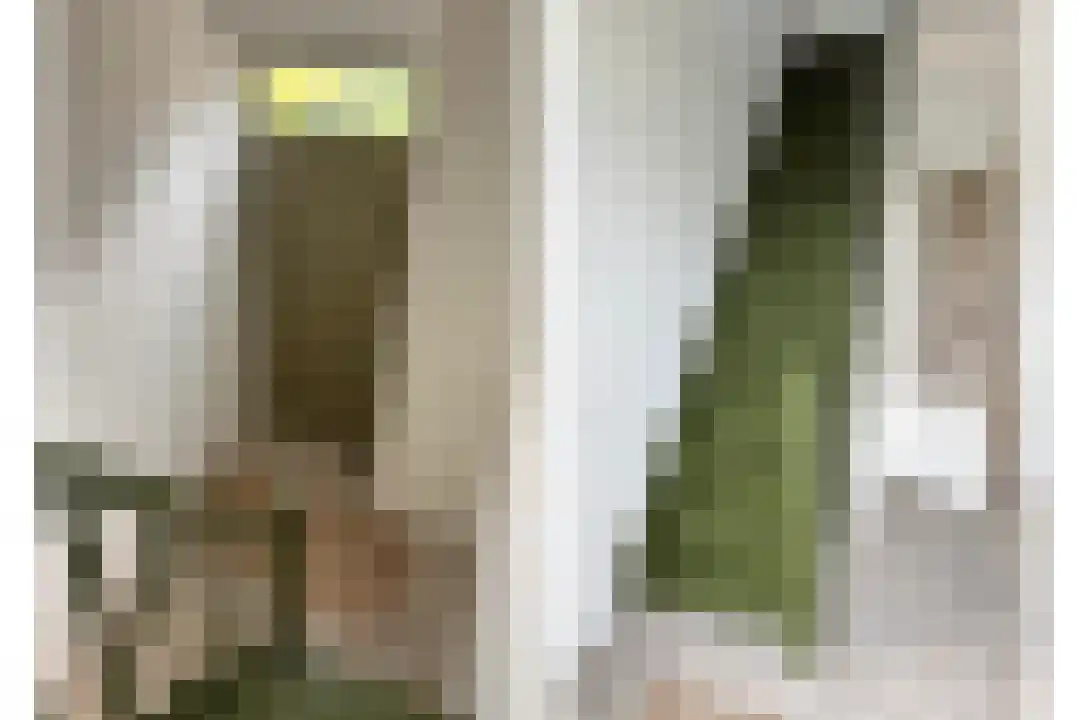 Cadzandseweg 53 Nieuwvliet thumbnail 6