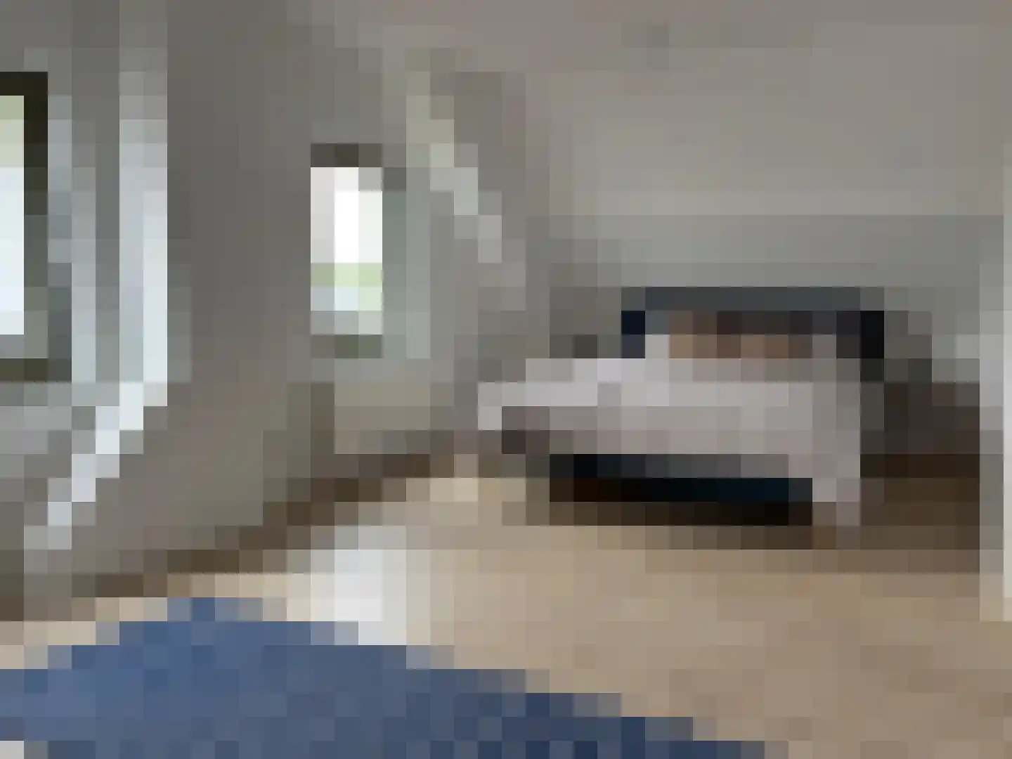 Cadzandseweg 53 Nieuwvliet thumbnail 7