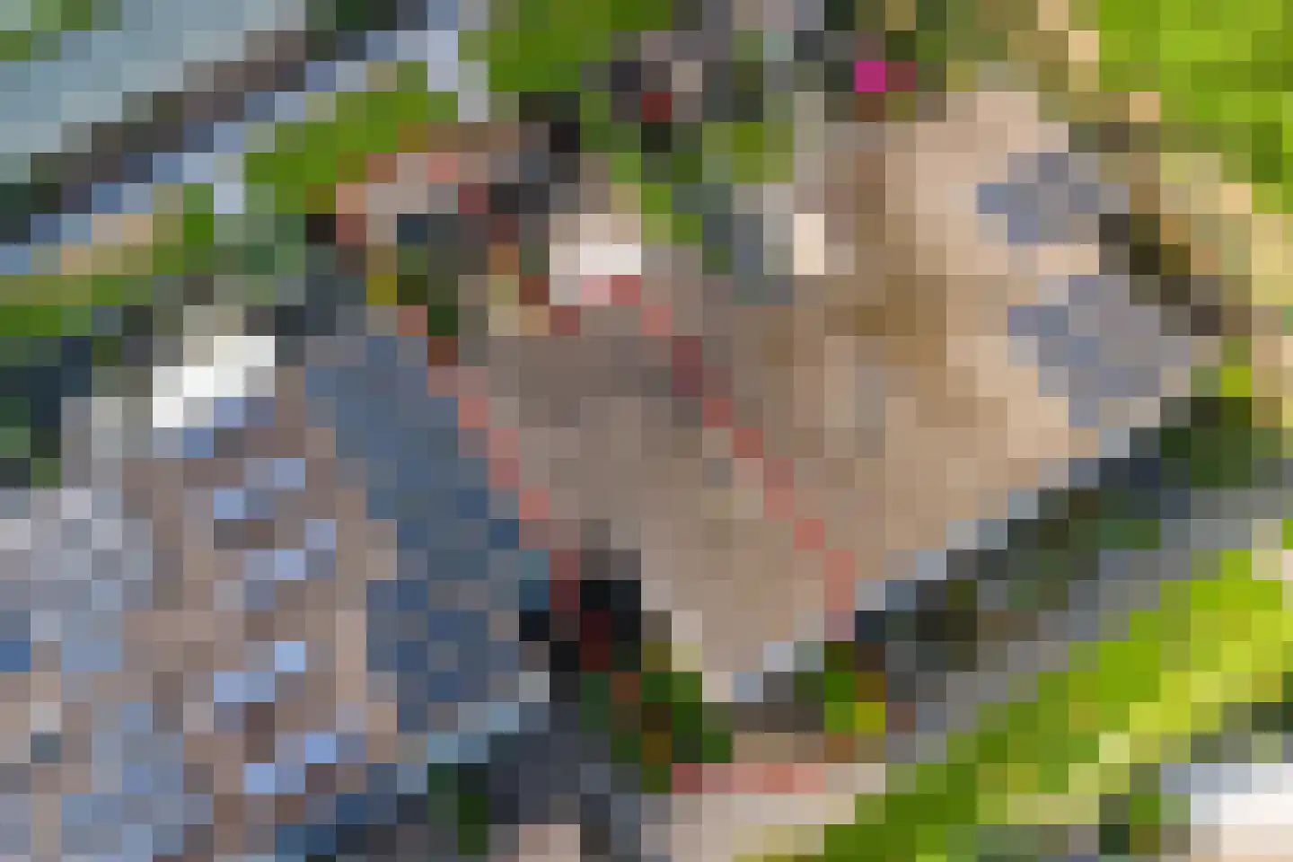 Caecilia-Gracht 12 Kerkrade thumbnail 23