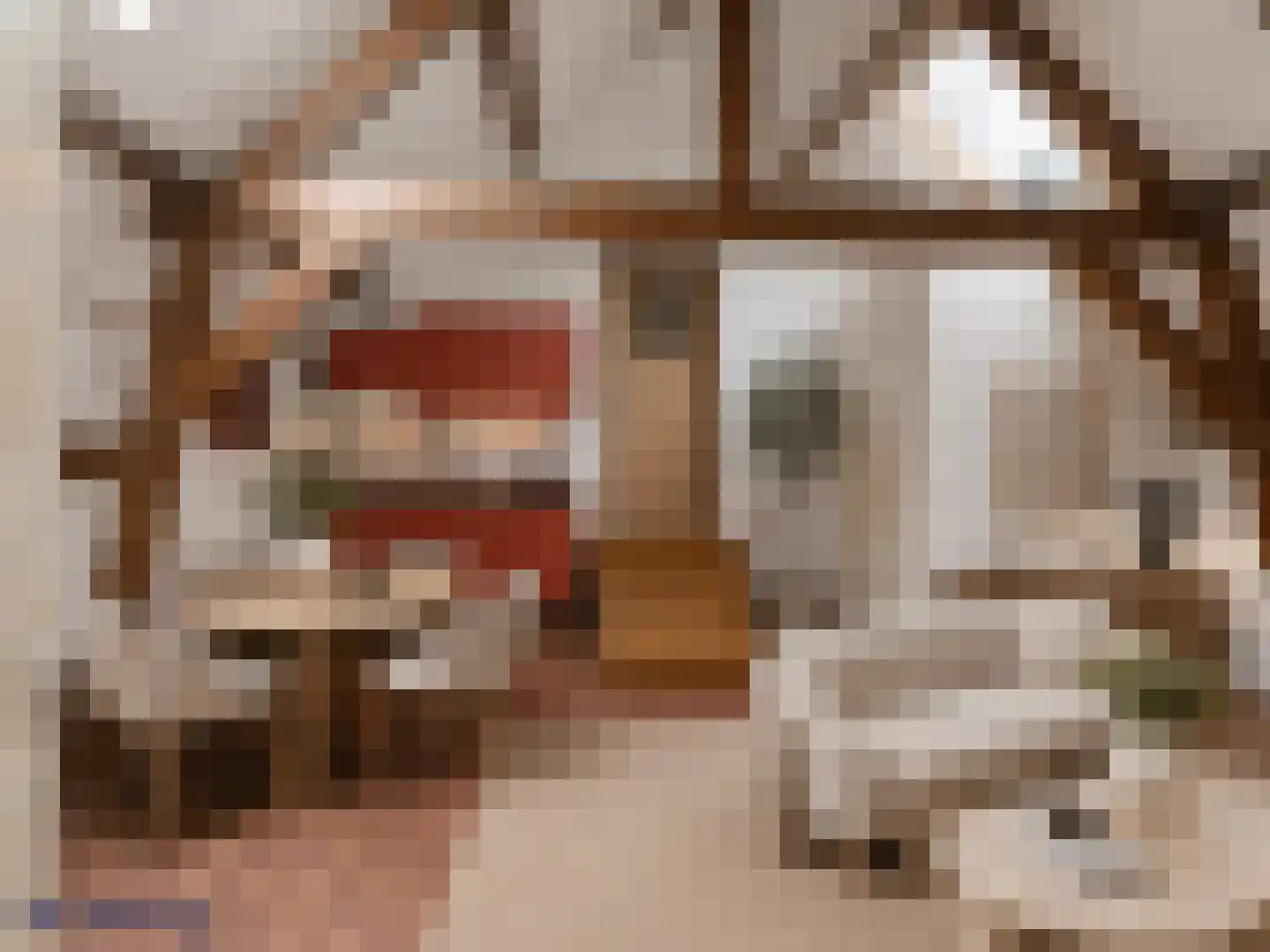 Caeciliastraat 1 Leiden thumbnail 15