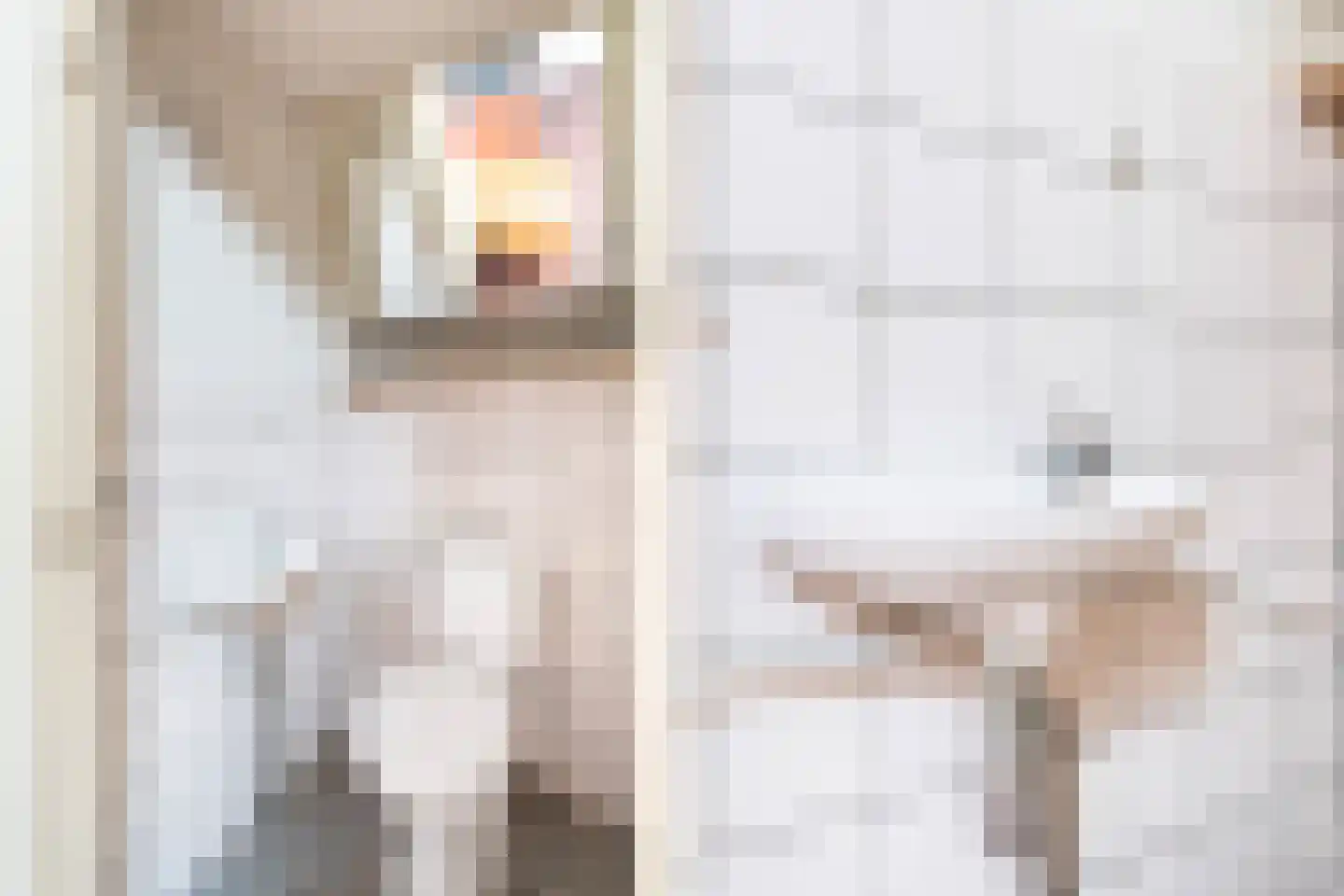 Caeciliastraat 1 Leiden thumbnail 20