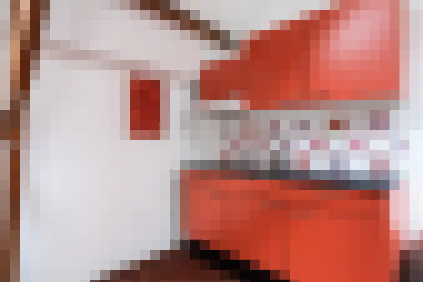 Caeciliastraat 1 Leiden thumbnail 23