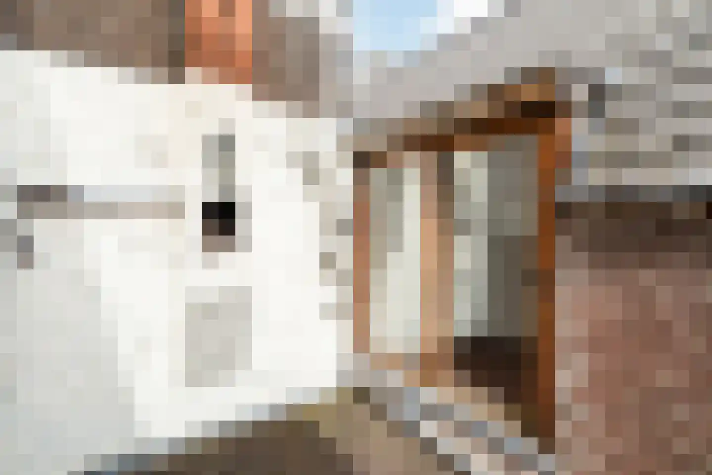 Caeciliastraat 1 Leiden thumbnail 28