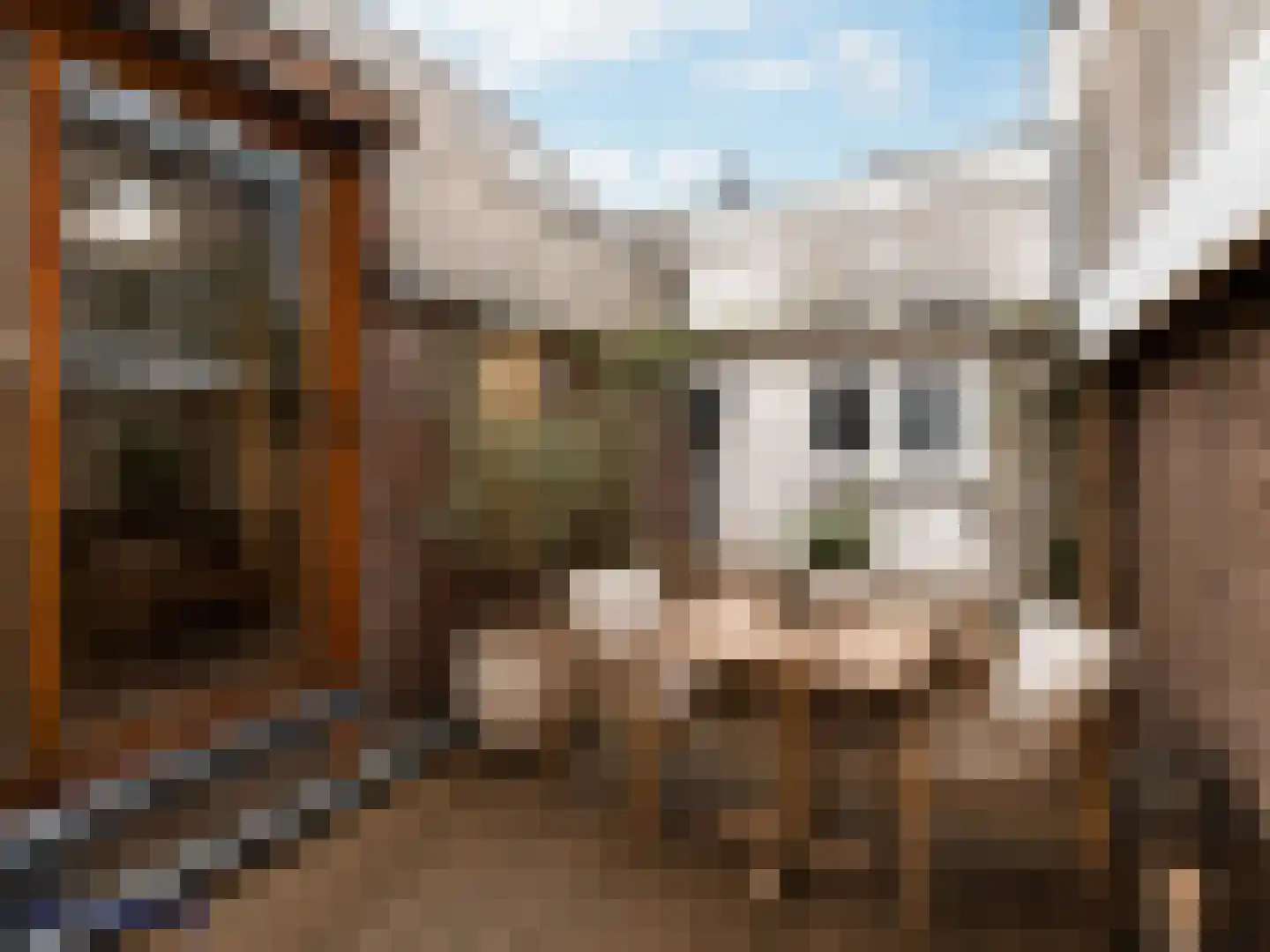 Caeciliastraat 1 Leiden thumbnail 30