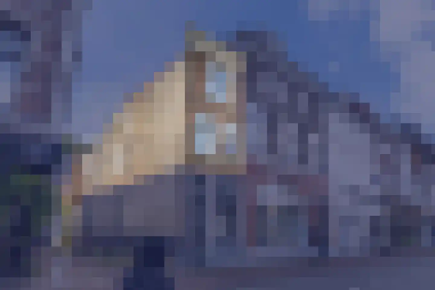 Caeciliastraat 1 Leiden thumbnail 4