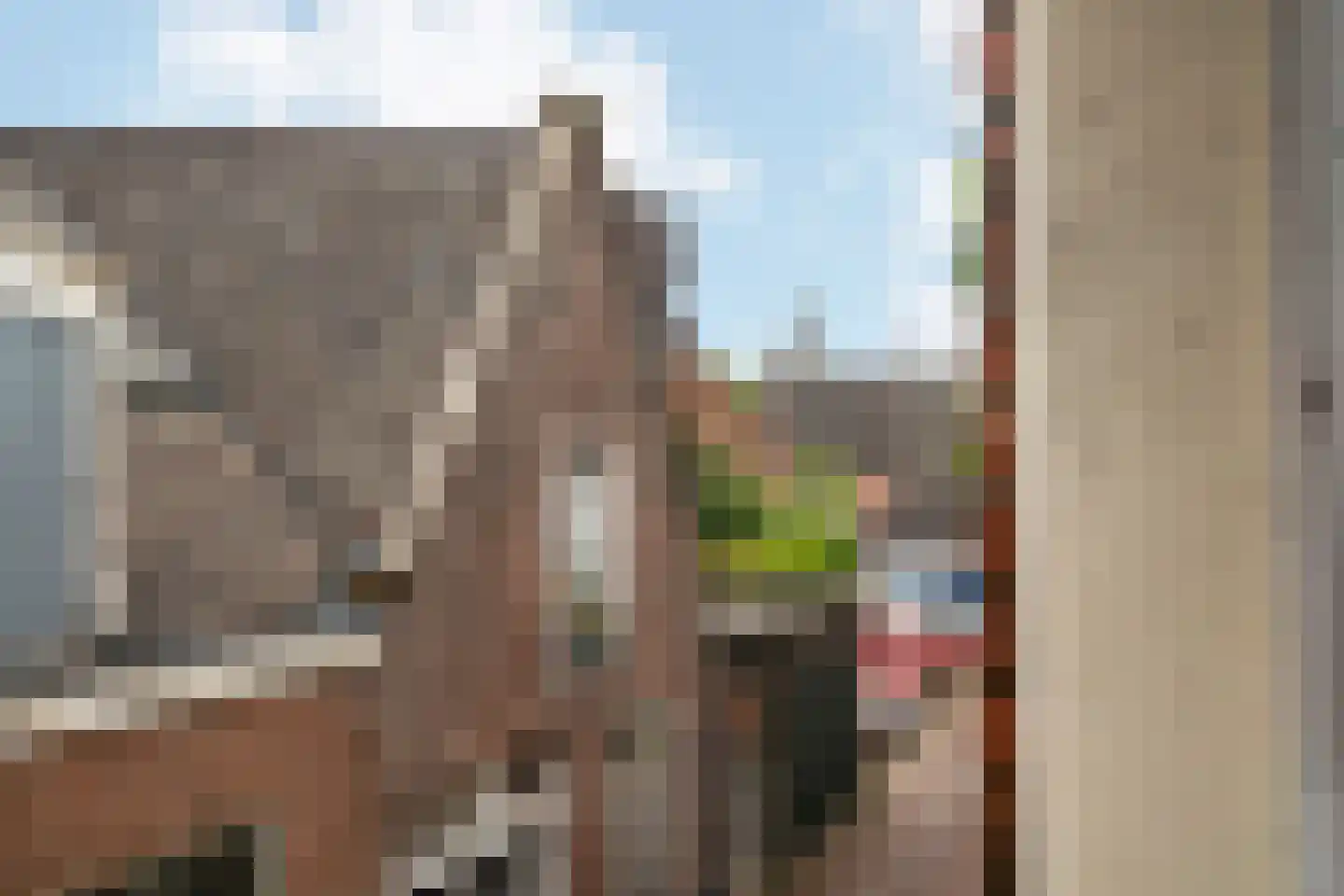 Caeciliastraat 1 Leiden thumbnail 40