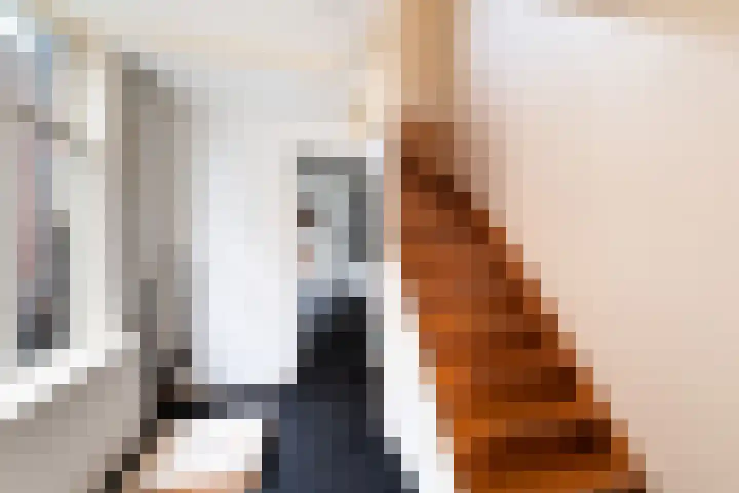 Caeciliastraat 1 Leiden thumbnail 51