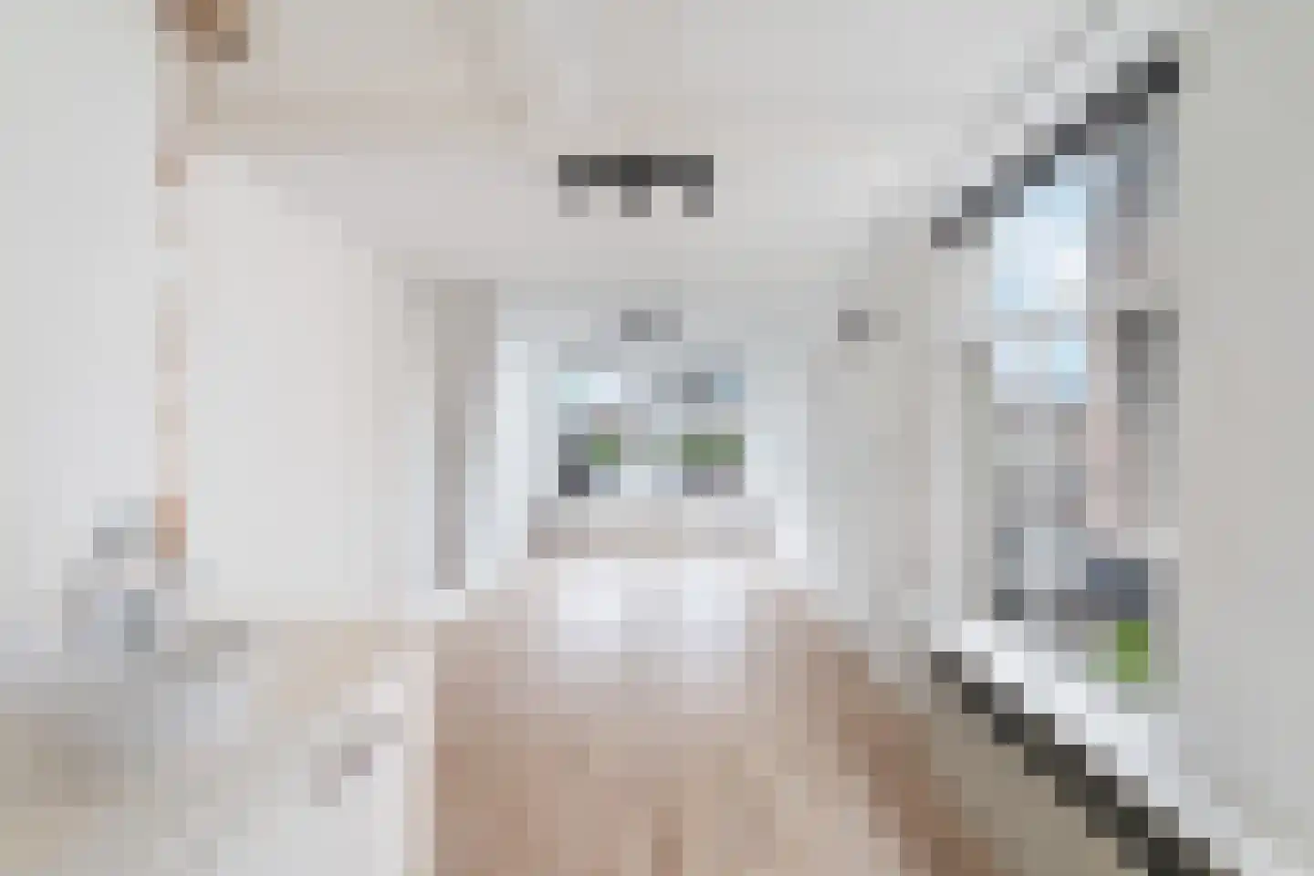 Caeciliastraat 1 Leiden thumbnail 53