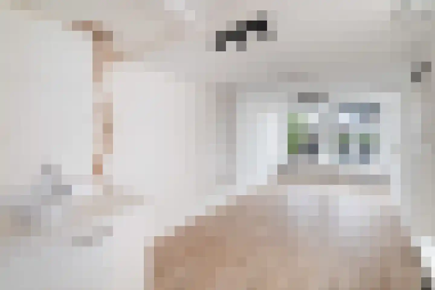 Caeciliastraat 1 Leiden thumbnail 54