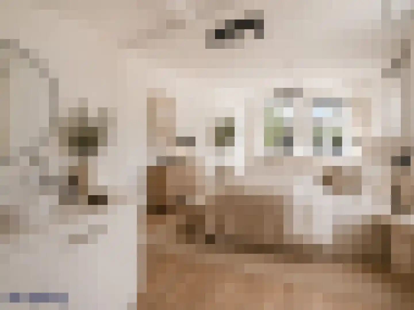 Caeciliastraat 1 Leiden thumbnail 55