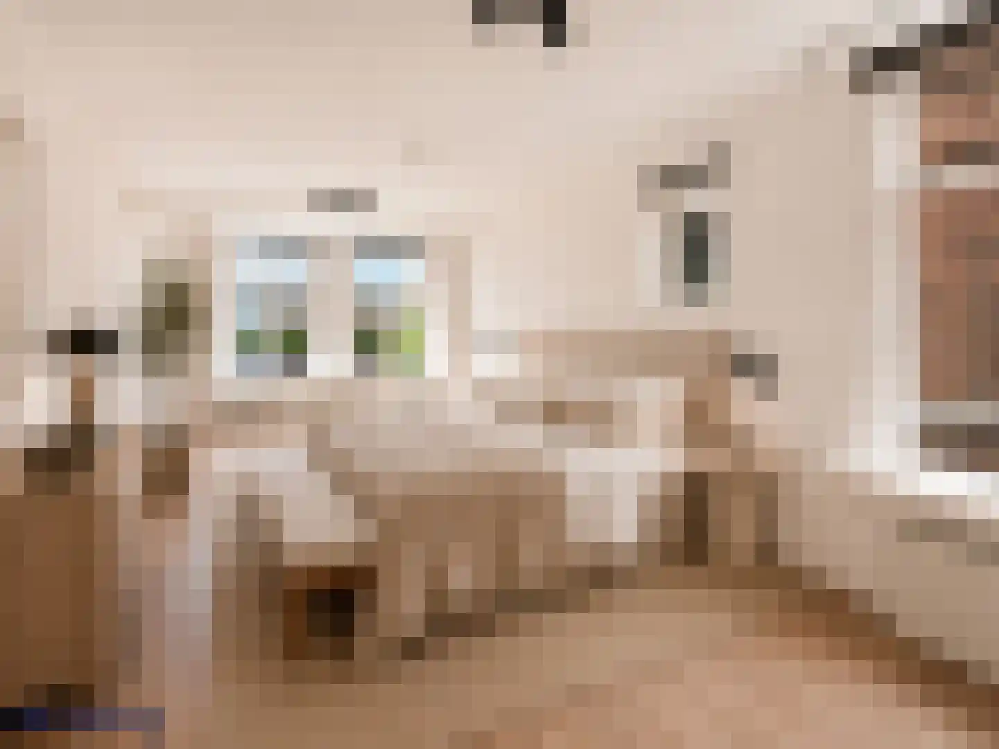 Caeciliastraat 1 Leiden thumbnail 57