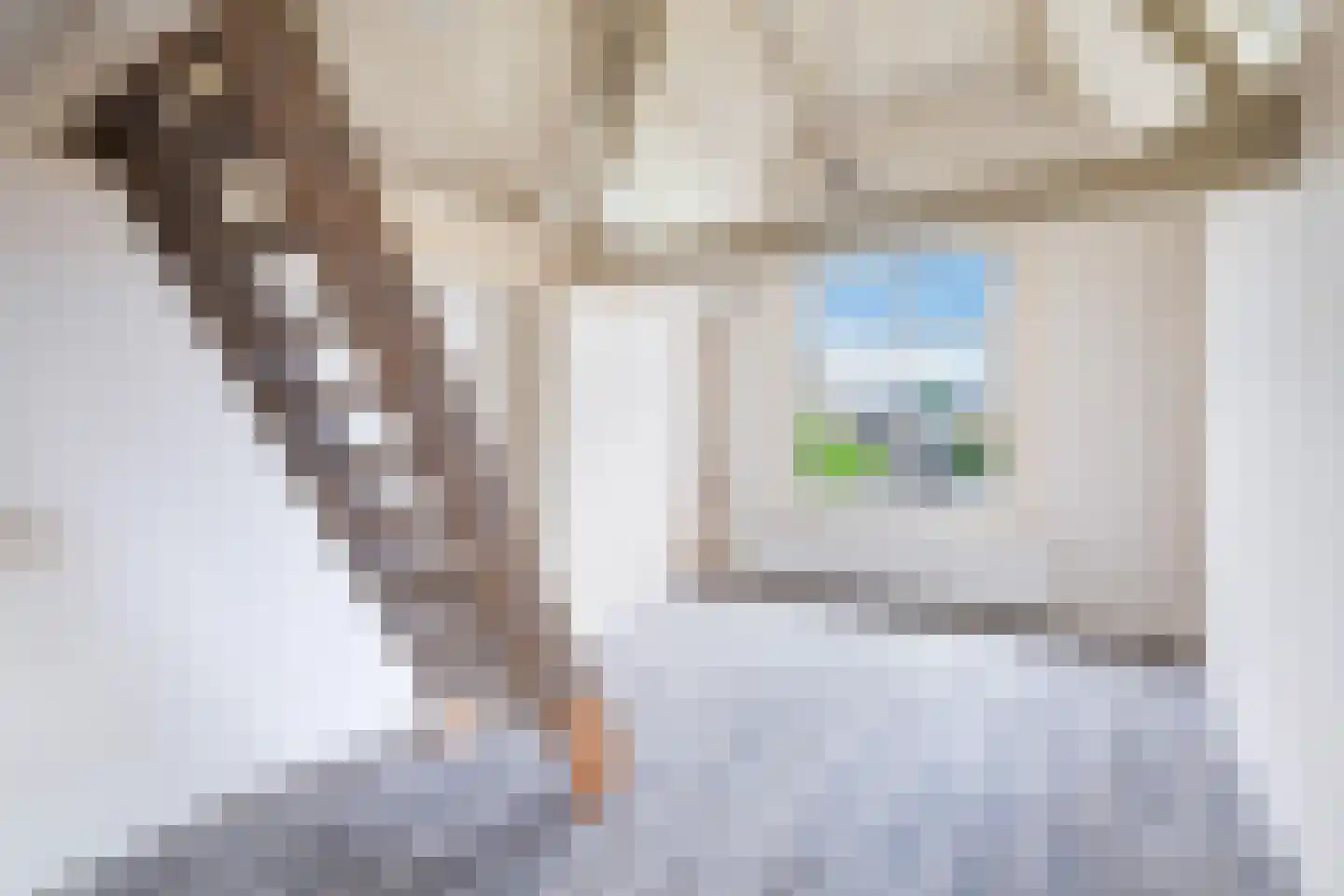 Caeciliastraat 1 Leiden thumbnail 64