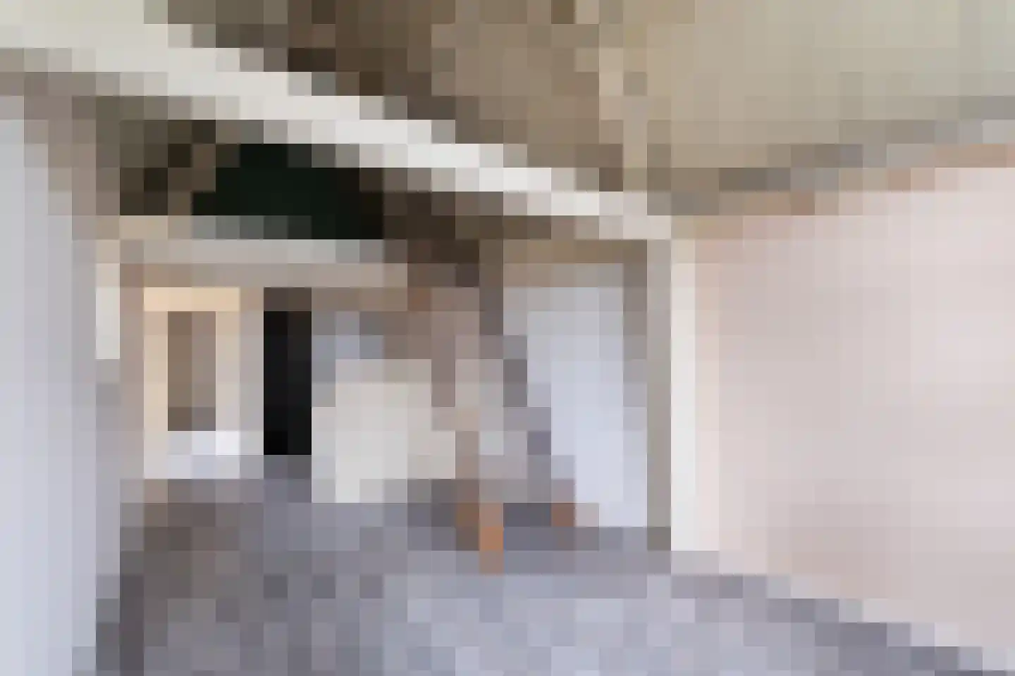 Caeciliastraat 1 Leiden thumbnail 66