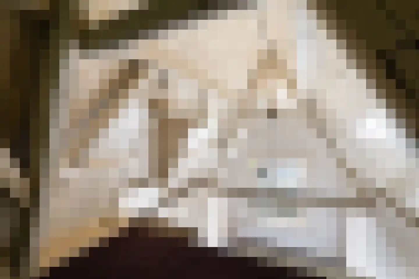 Caeciliastraat 1 Leiden thumbnail 73